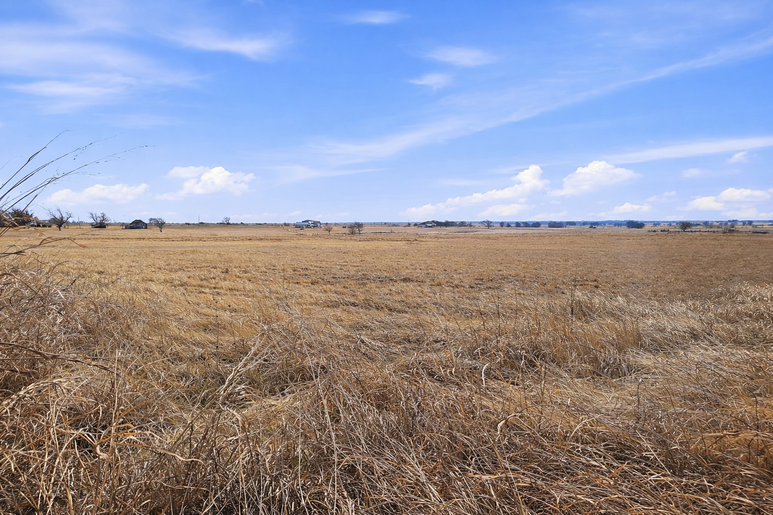 TBD-20 acres Tbd Cr 255, Gatesville, TX, 76528