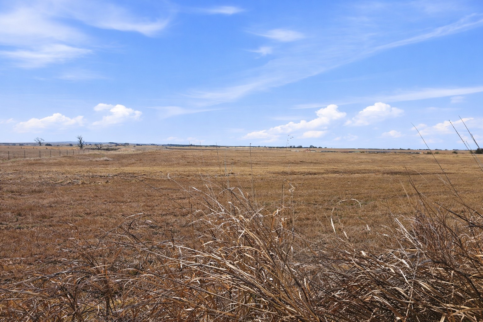 TBD-20 acres Tbd Cr 255, Gatesville, TX, 76528