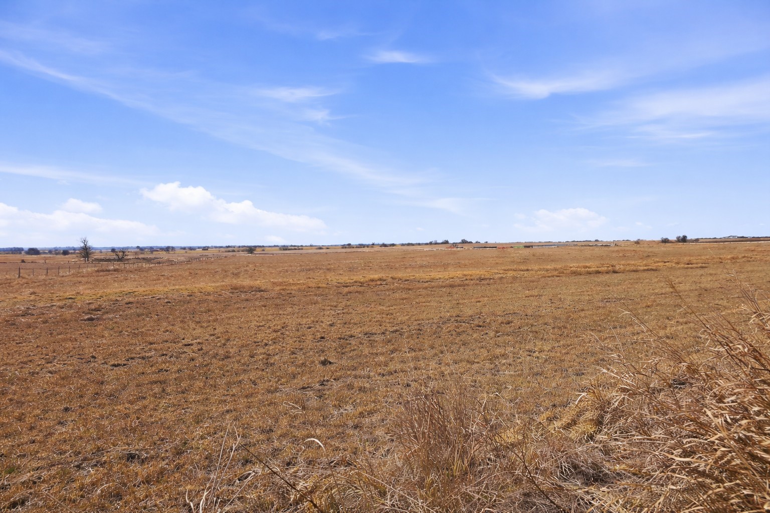 TBD-20 acres Tbd Cr 255, Gatesville, TX, 76528