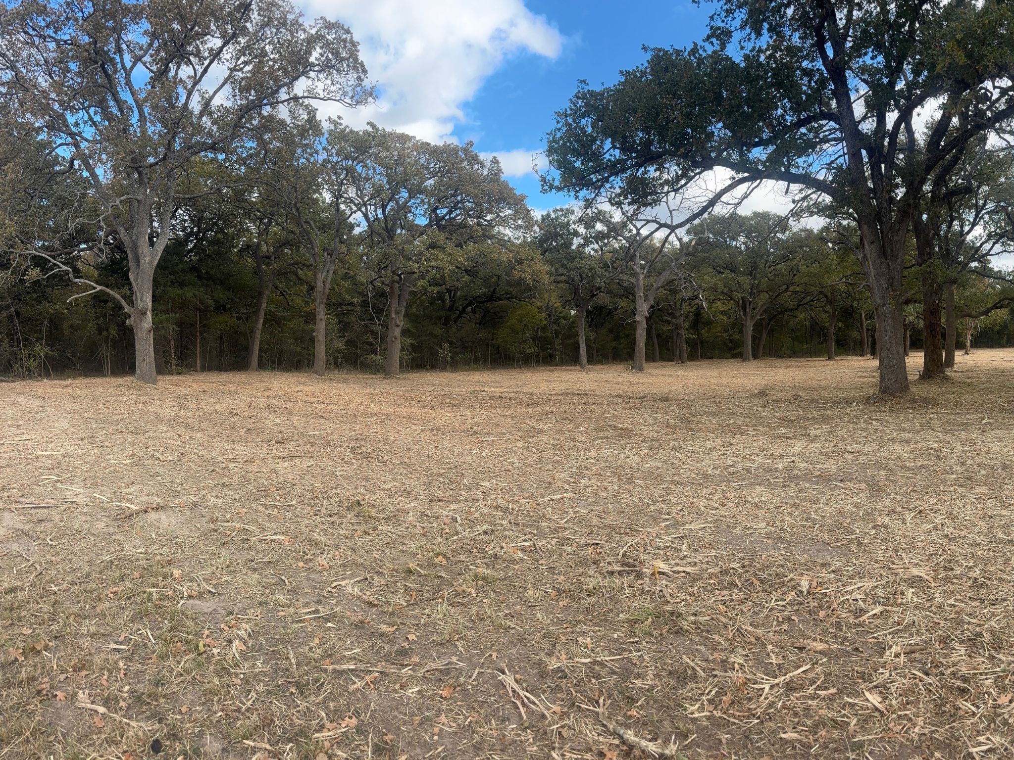 Property photo 01 of 5.2 acres Fm 1570, Greenville, TX 75402 | MLS #21174754