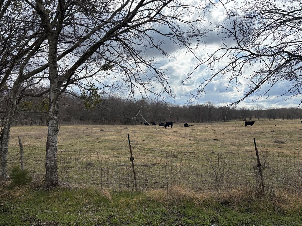 5961 County Road 4127, Scurry, TX, 75158