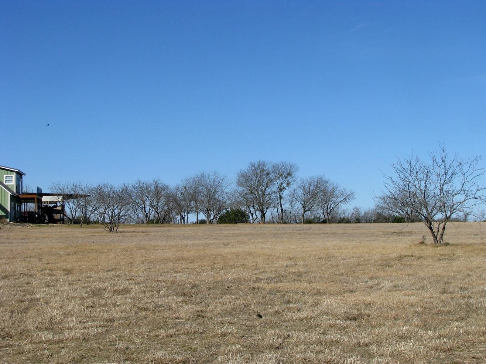 Property photo 04 of TBD Lot 2 Old Pidcoke Road, Gatesville, TX 76528 | MLS #21175333