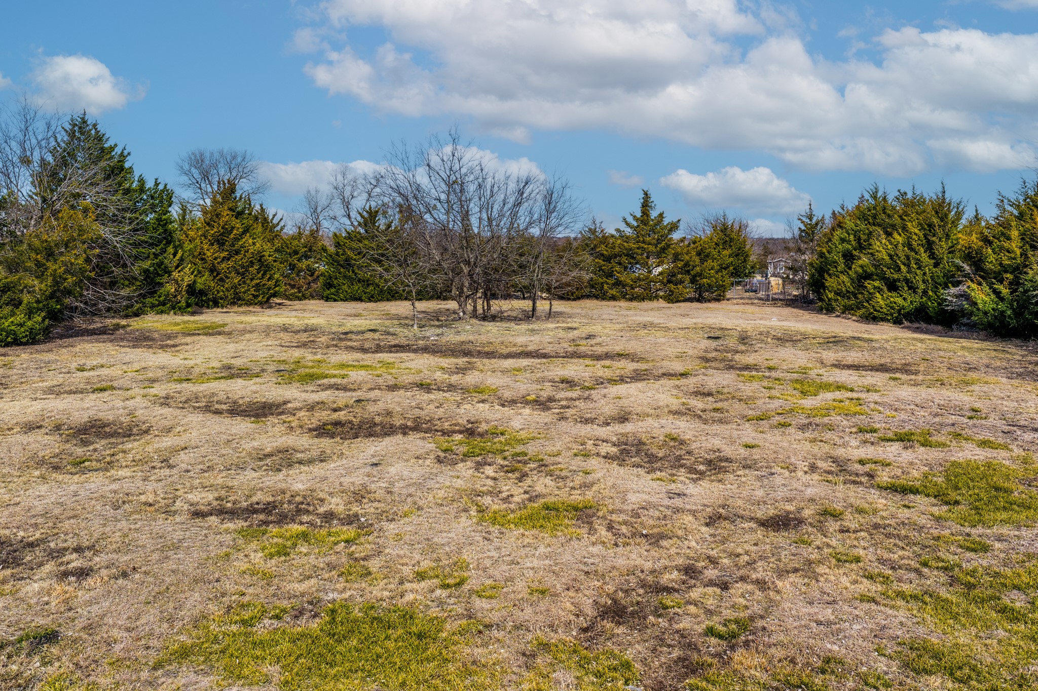 366 Tony Lane, Fate, TX, 75189