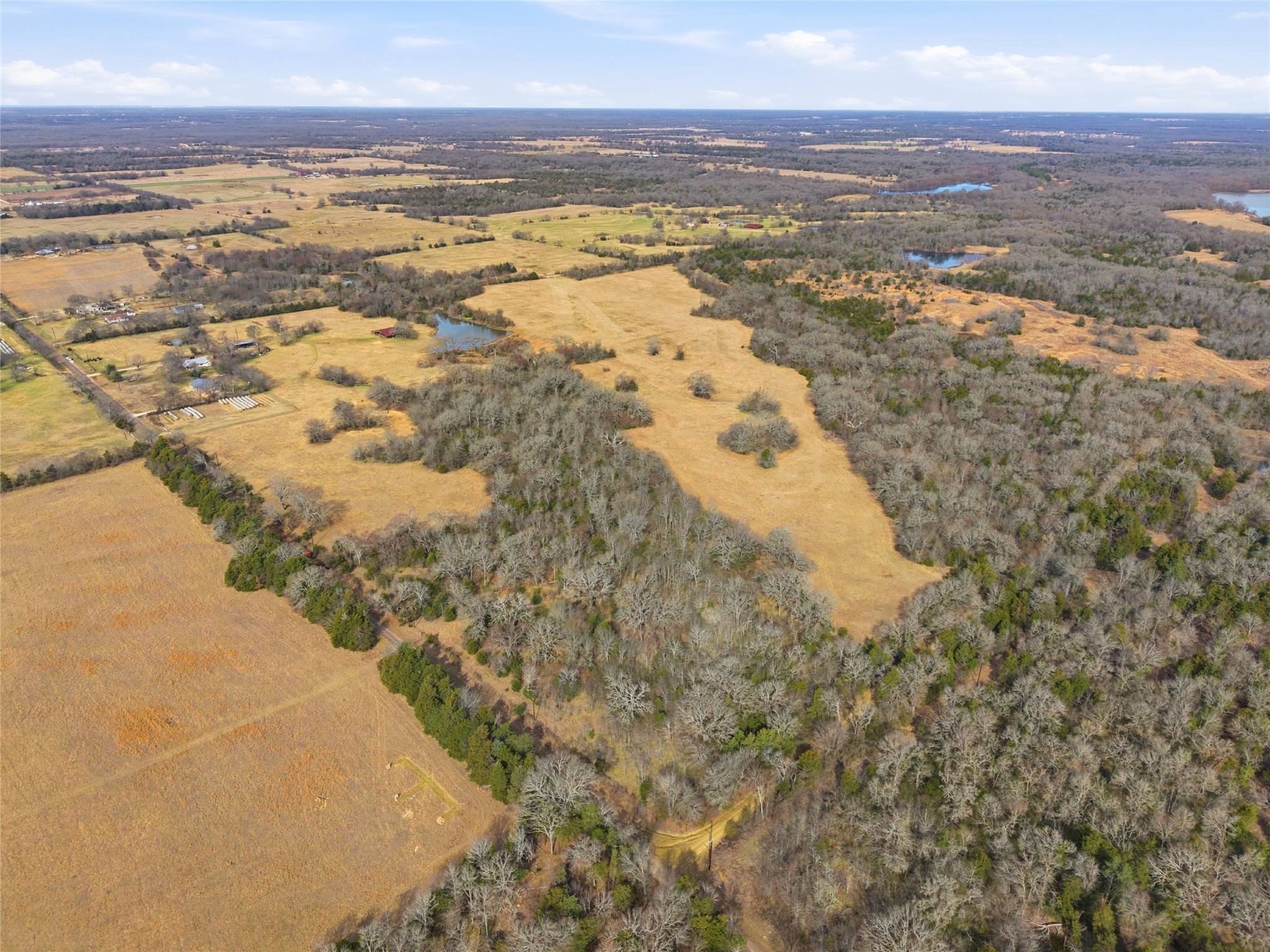 Property photo 04 of 742 County Road 1144 Miller, Grove, TX 75472 | MLS #21175882