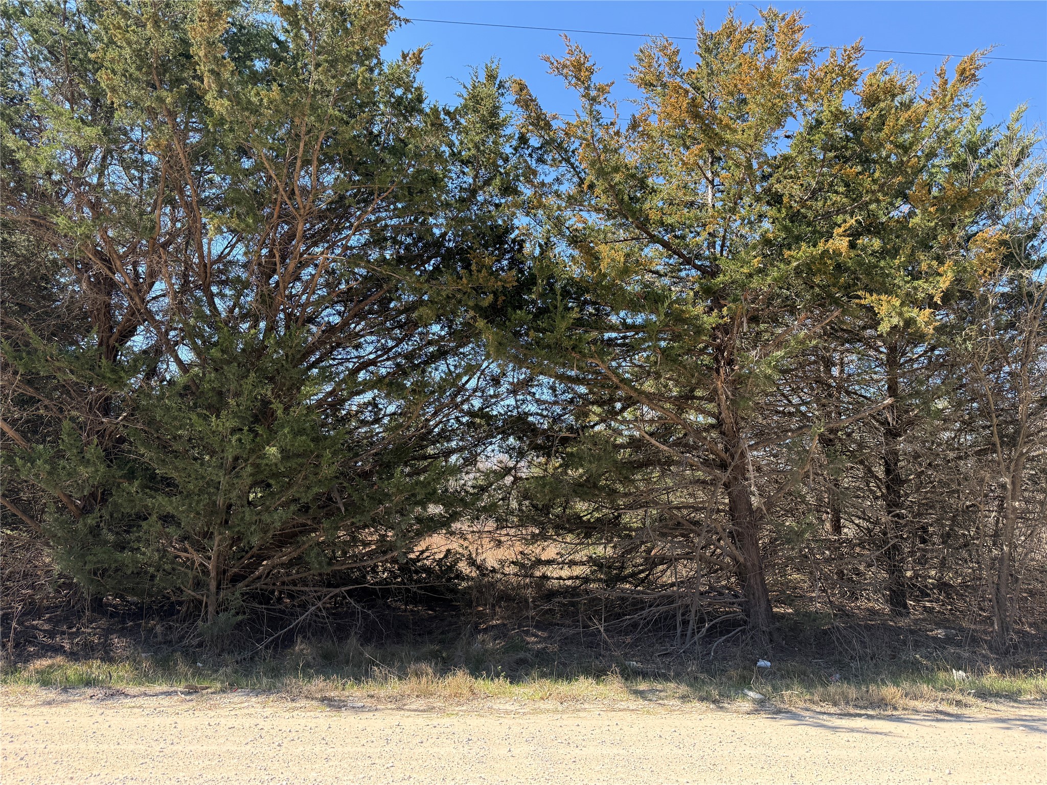 Lots 162A, 162B, 163A SW CR 4011, Dawson, TX, 76639