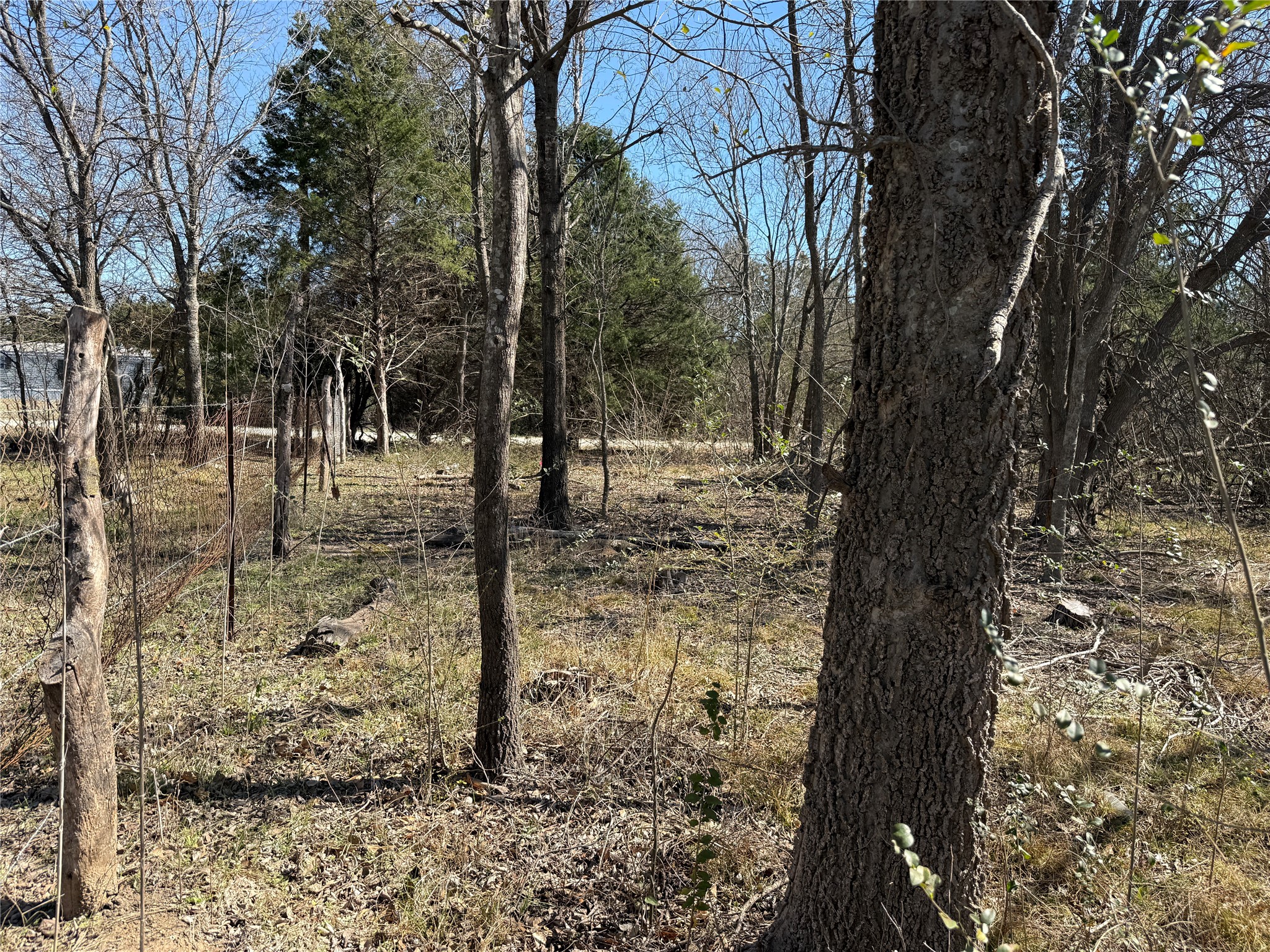 Lots 162A, 162B, 163A SW CR 4011, Dawson, TX, 76639