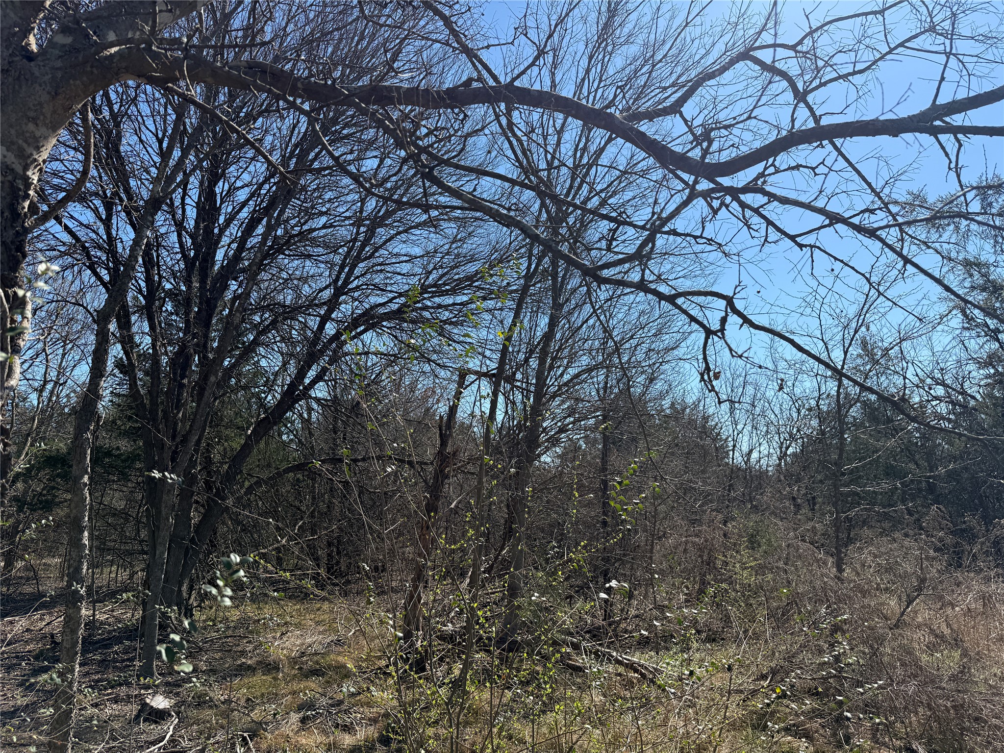 Lots 162A, 162B, 163A SW CR 4011, Dawson, TX, 76639