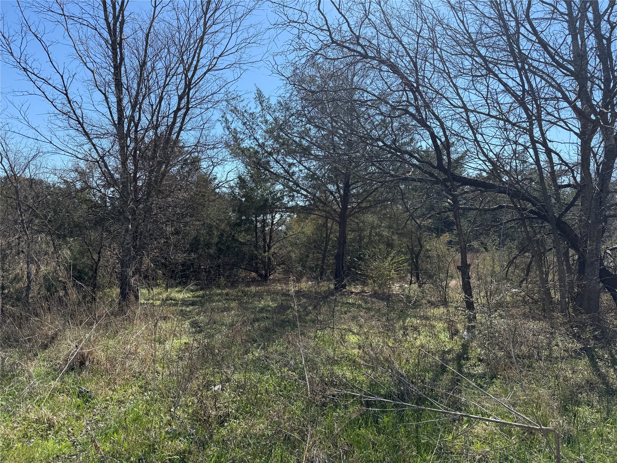 Lots 162A, 162B, 163A SW CR 4011, Dawson, TX, 76639