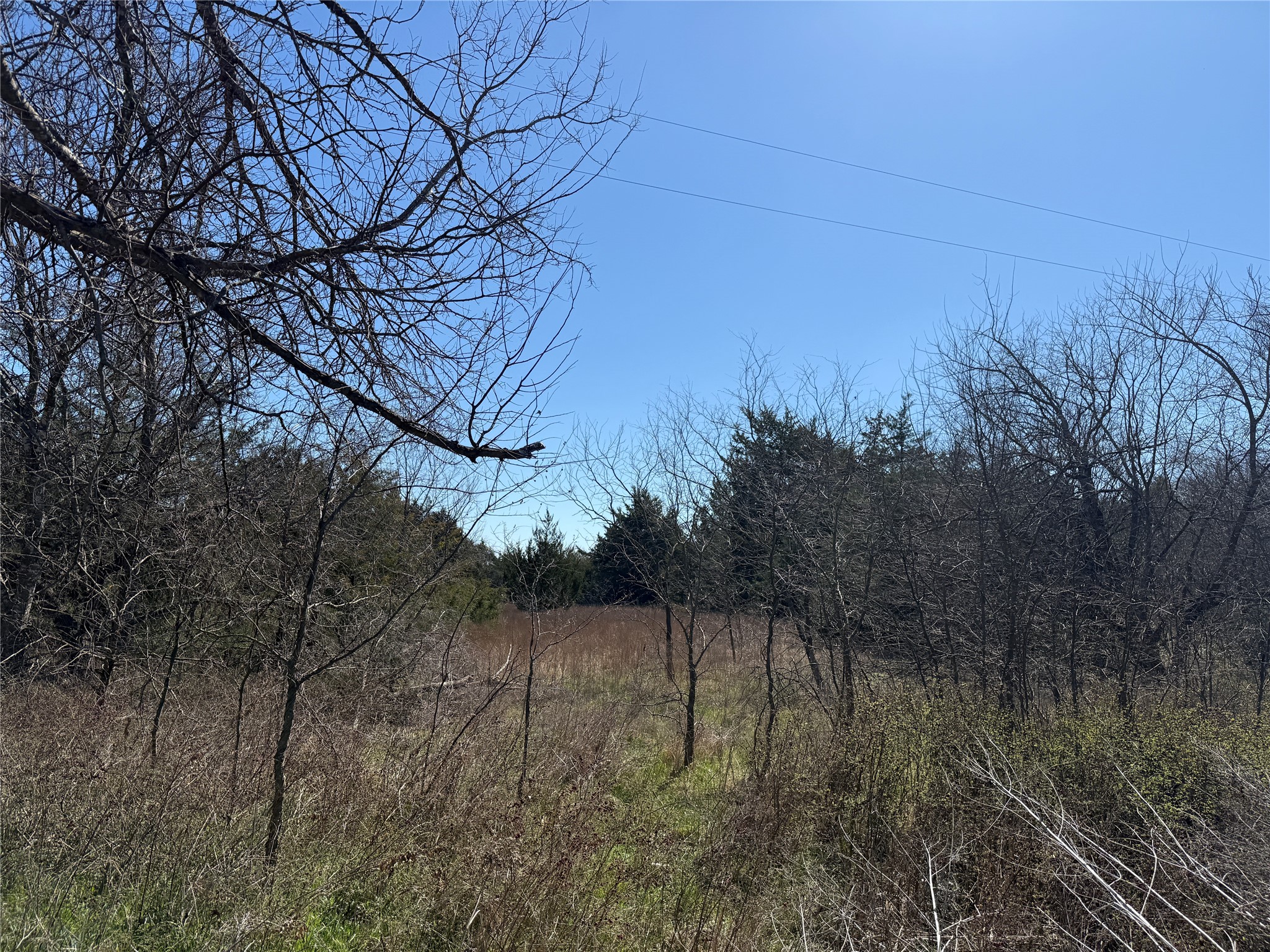 Lots 162A, 162B, 163A SW CR 4011, Dawson, TX, 76639