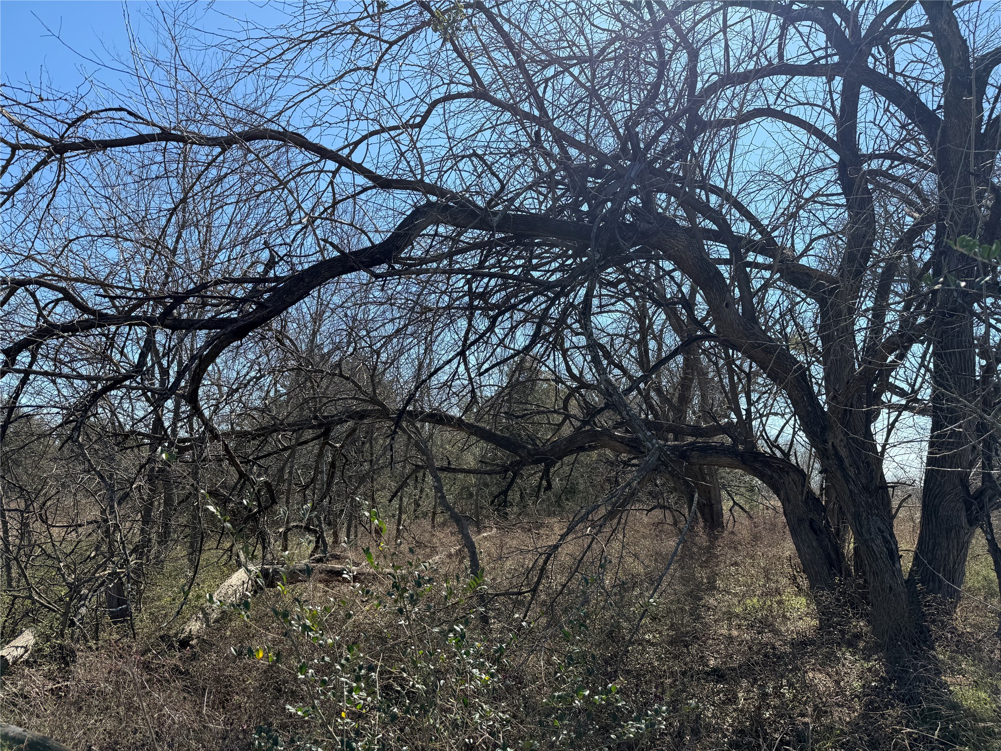 Lots 162A, 162B, 163A SW CR 4011, Dawson, TX, 76639