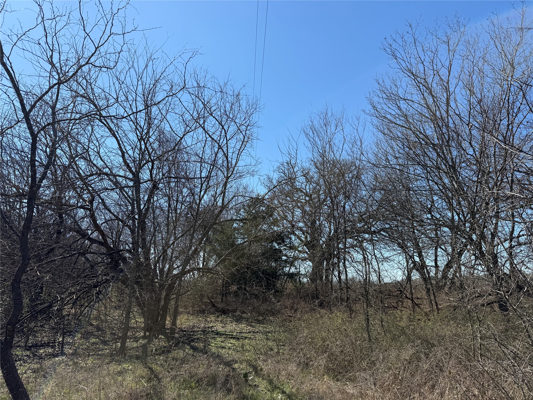 Lots 162A, 162B, 163A SW CR 4011, Dawson, TX, 76639