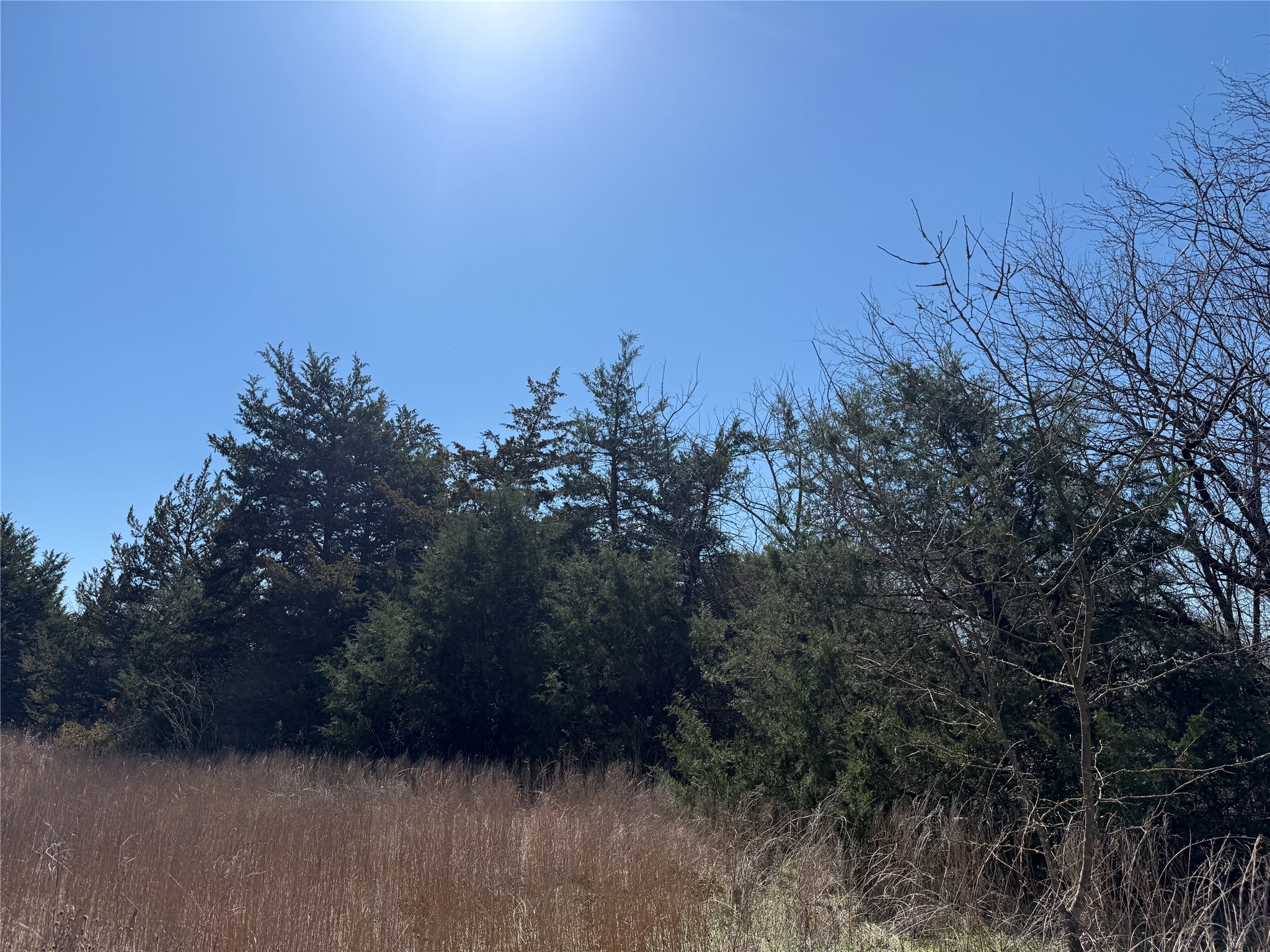 Lots 162A, 162B, 163A SW CR 4011, Dawson, TX, 76639