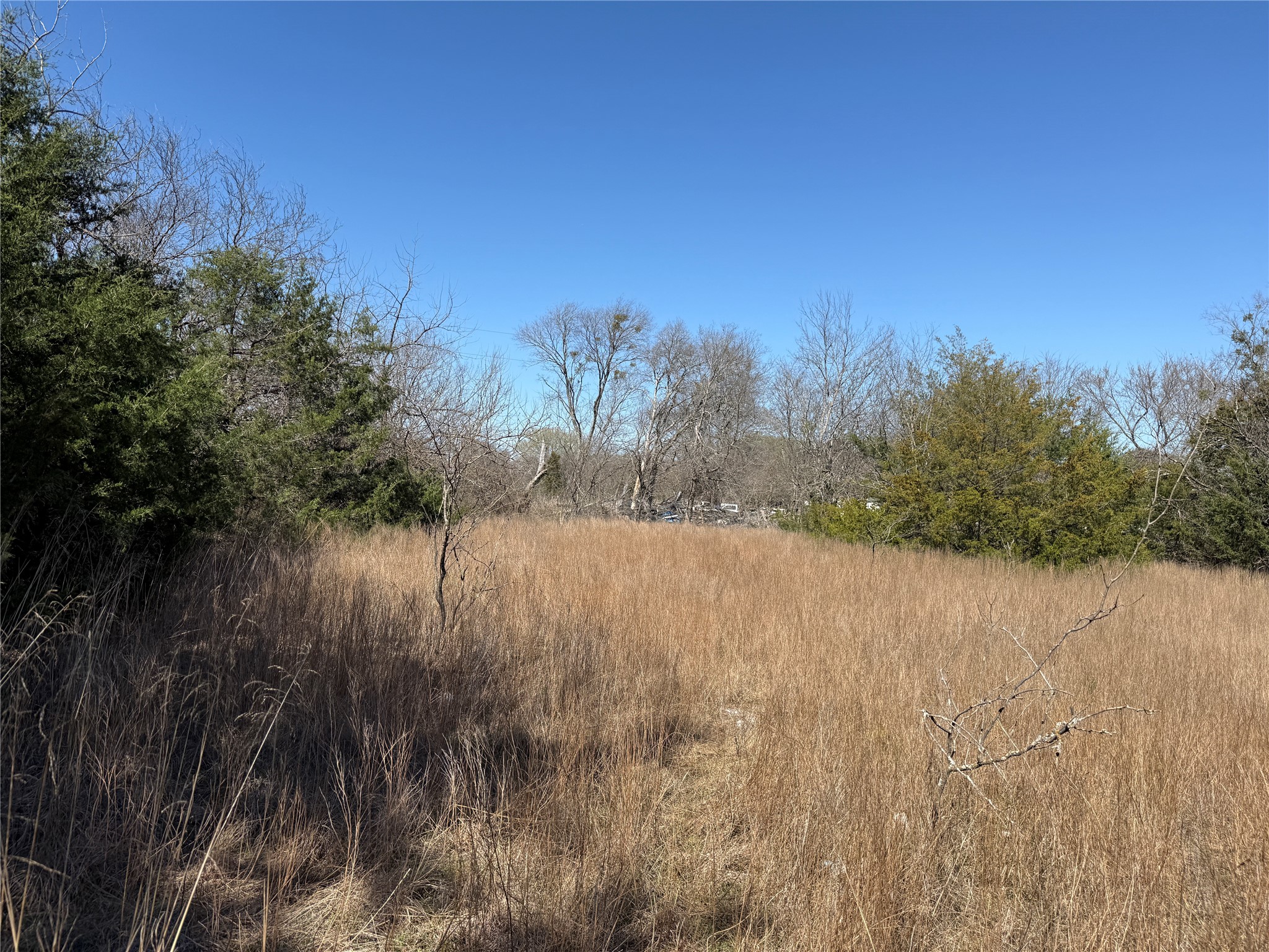 Lots 162A, 162B, 163A SW CR 4011, Dawson, TX, 76639