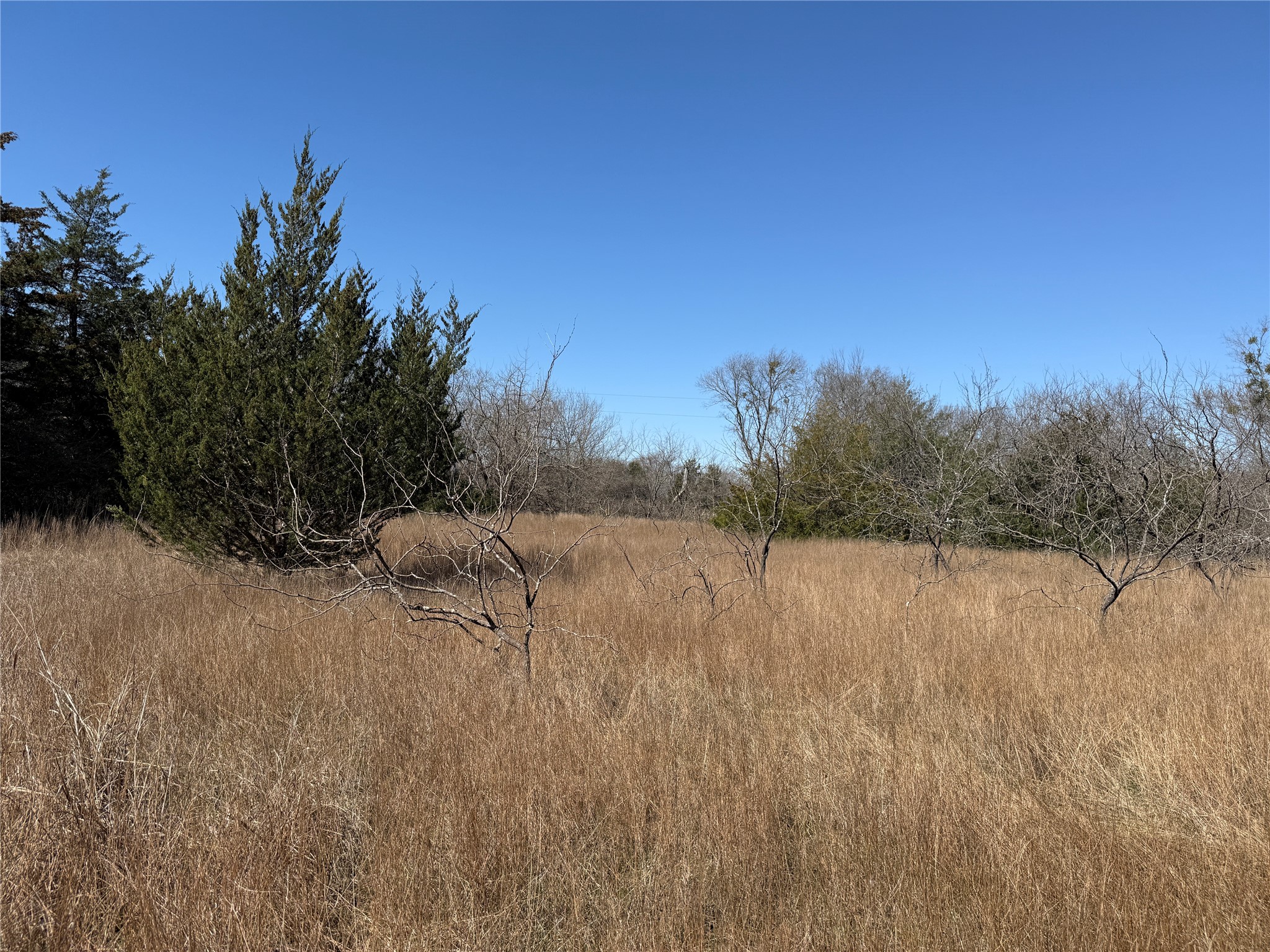 Lots 162A, 162B, 163A SW CR 4011, Dawson, TX, 76639