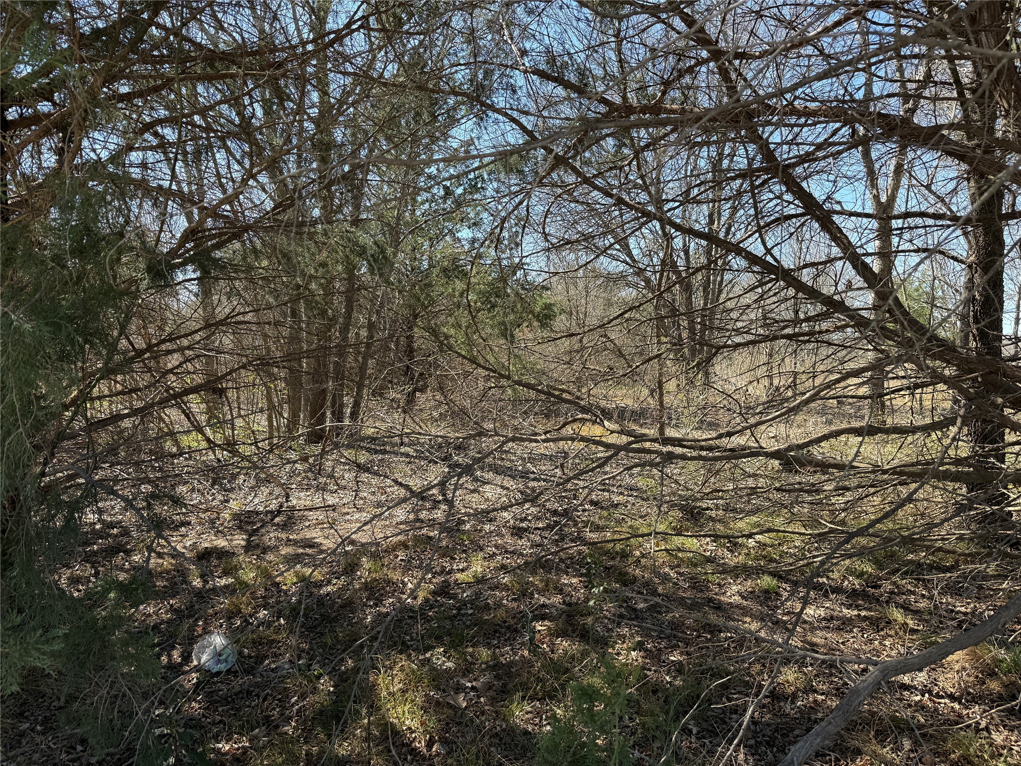 Lots 162A, 162B, 163A SW CR 4011, Dawson, TX, 76639