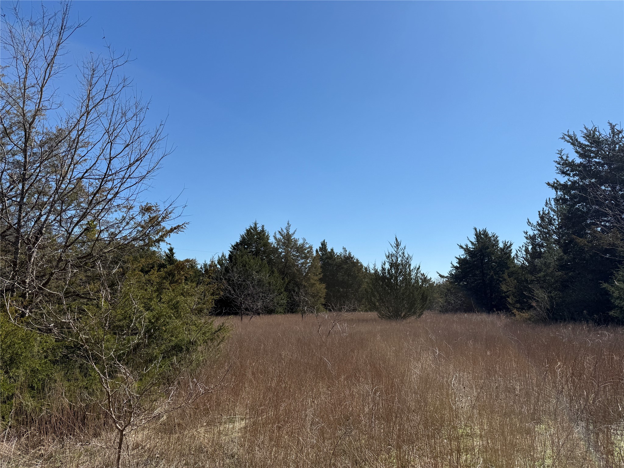 Lots 162A, 162B, 163A SW CR 4011, Dawson, TX, 76639