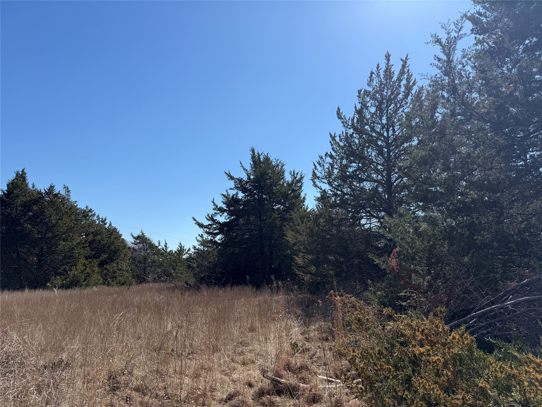 Lots 162A, 162B, 163A SW CR 4011, Dawson, TX, 76639