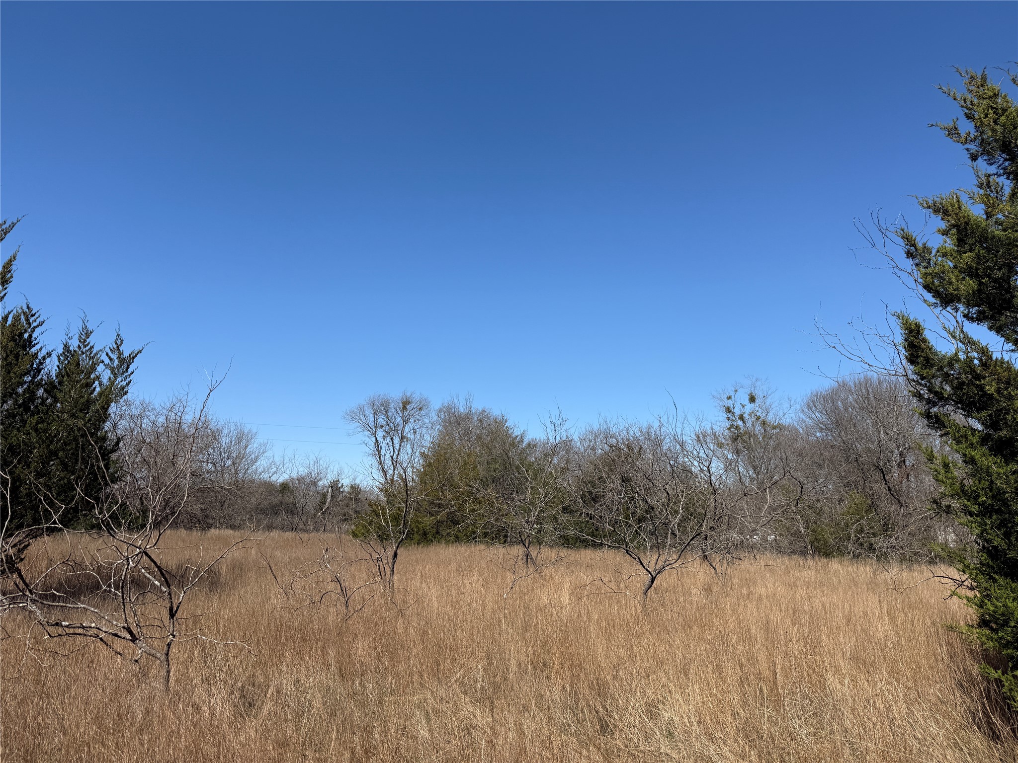 Lots 162A, 162B, 163A SW CR 4011, Dawson, TX, 76639