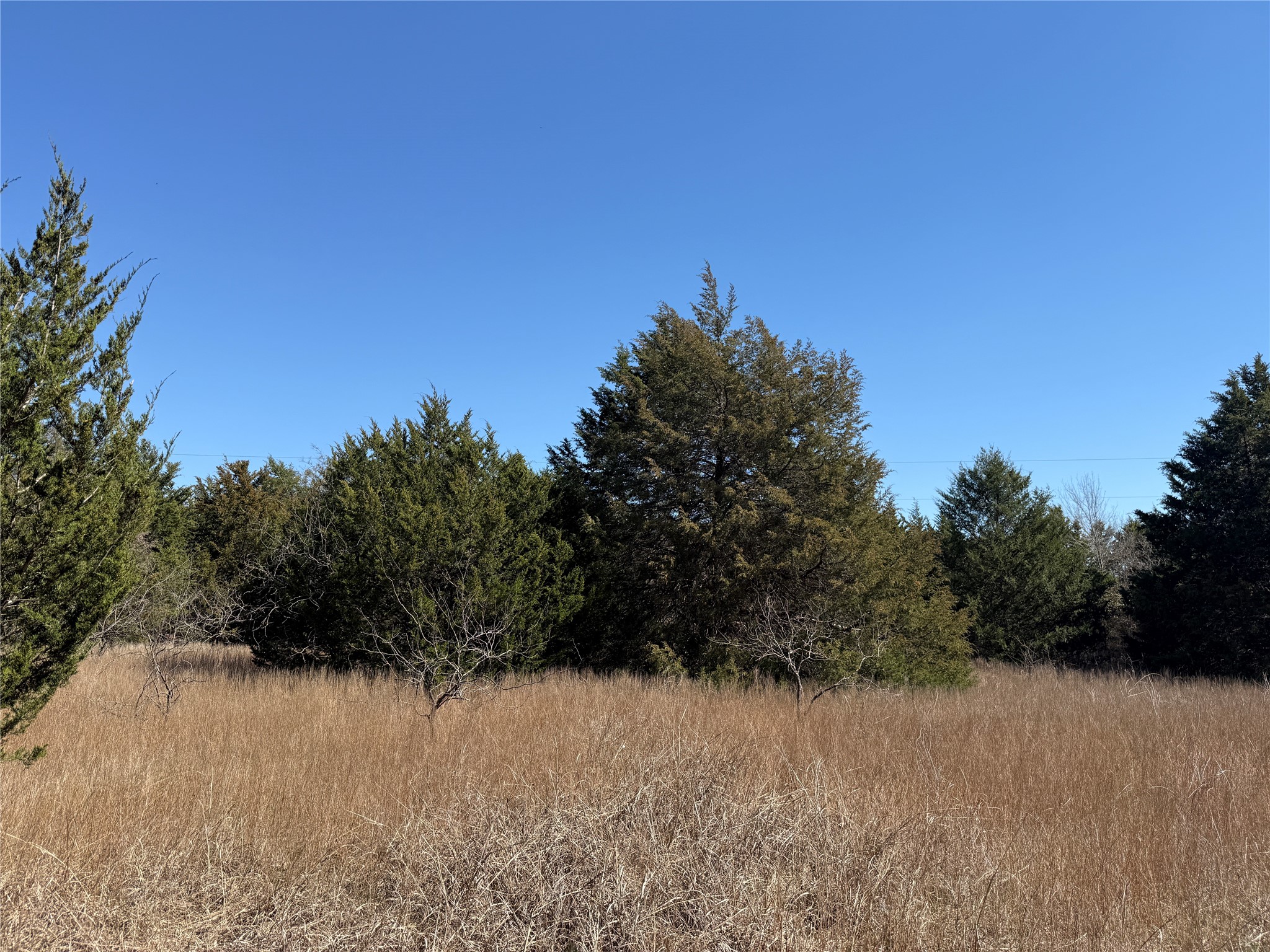 Lots 162A, 162B, 163A SW CR 4011, Dawson, TX, 76639