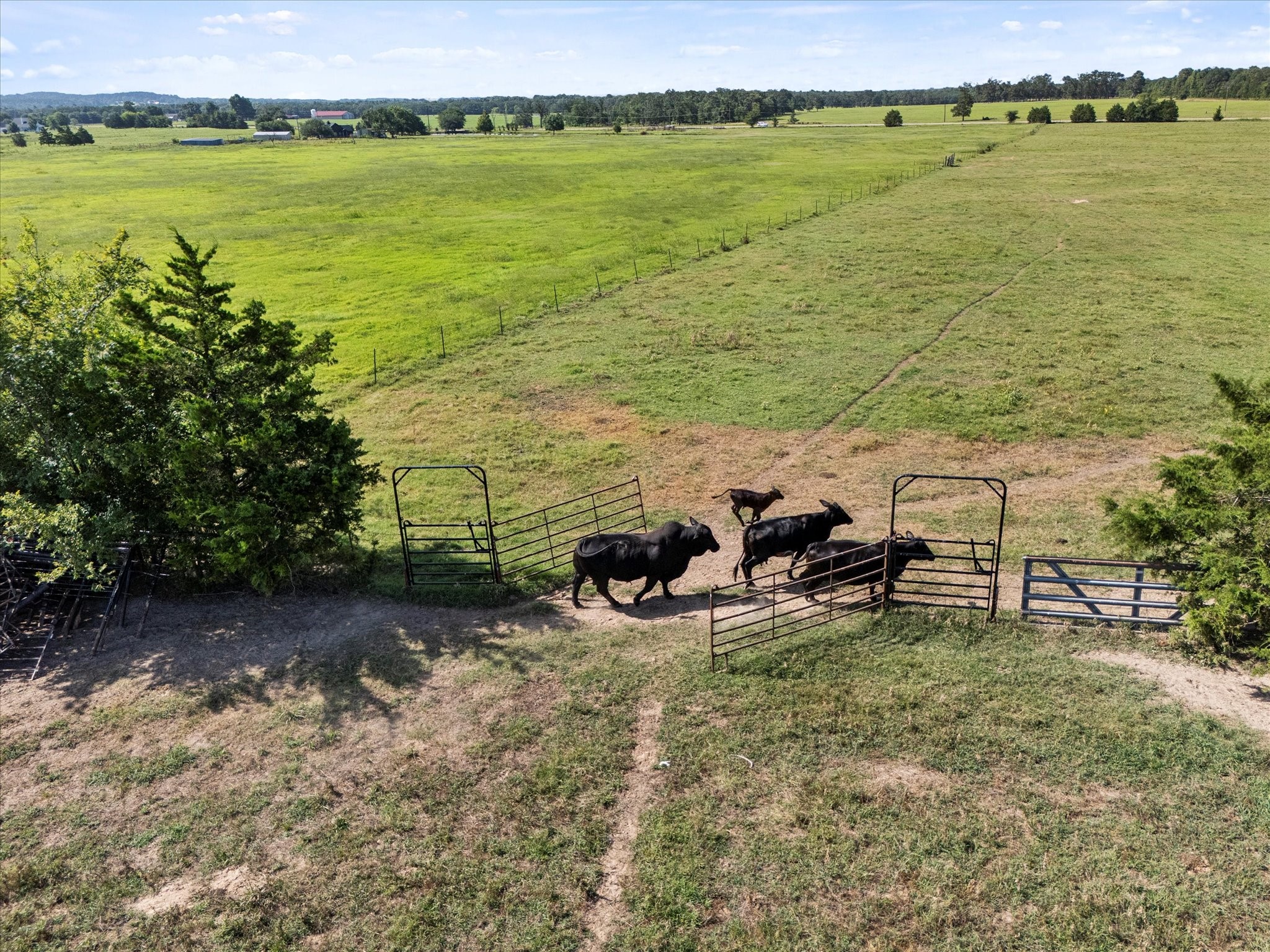 0 VZ CR 4607, Ben Wheeler, TX, 75754