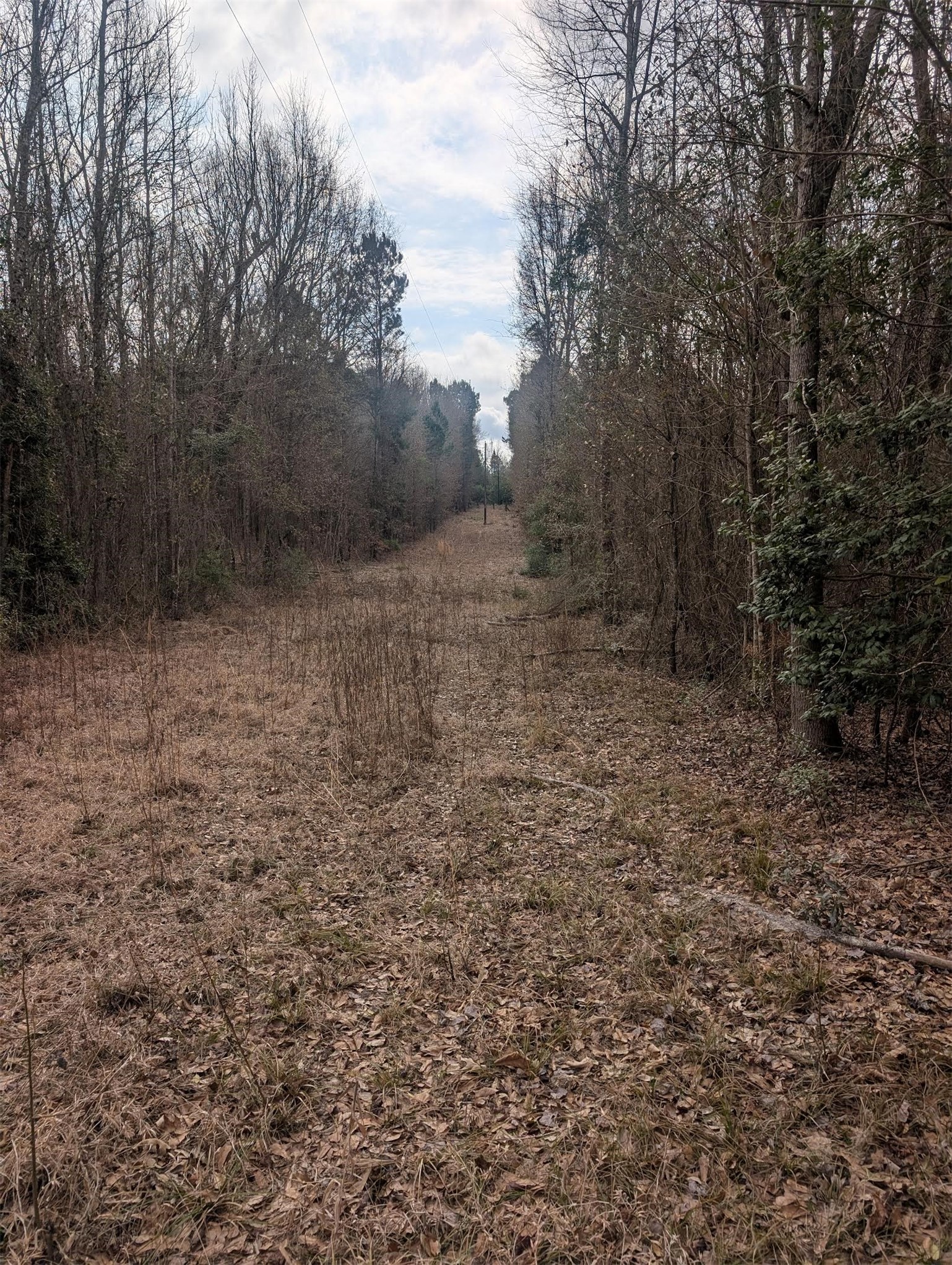 0 CR 3427, Hawkins, TX, 75765