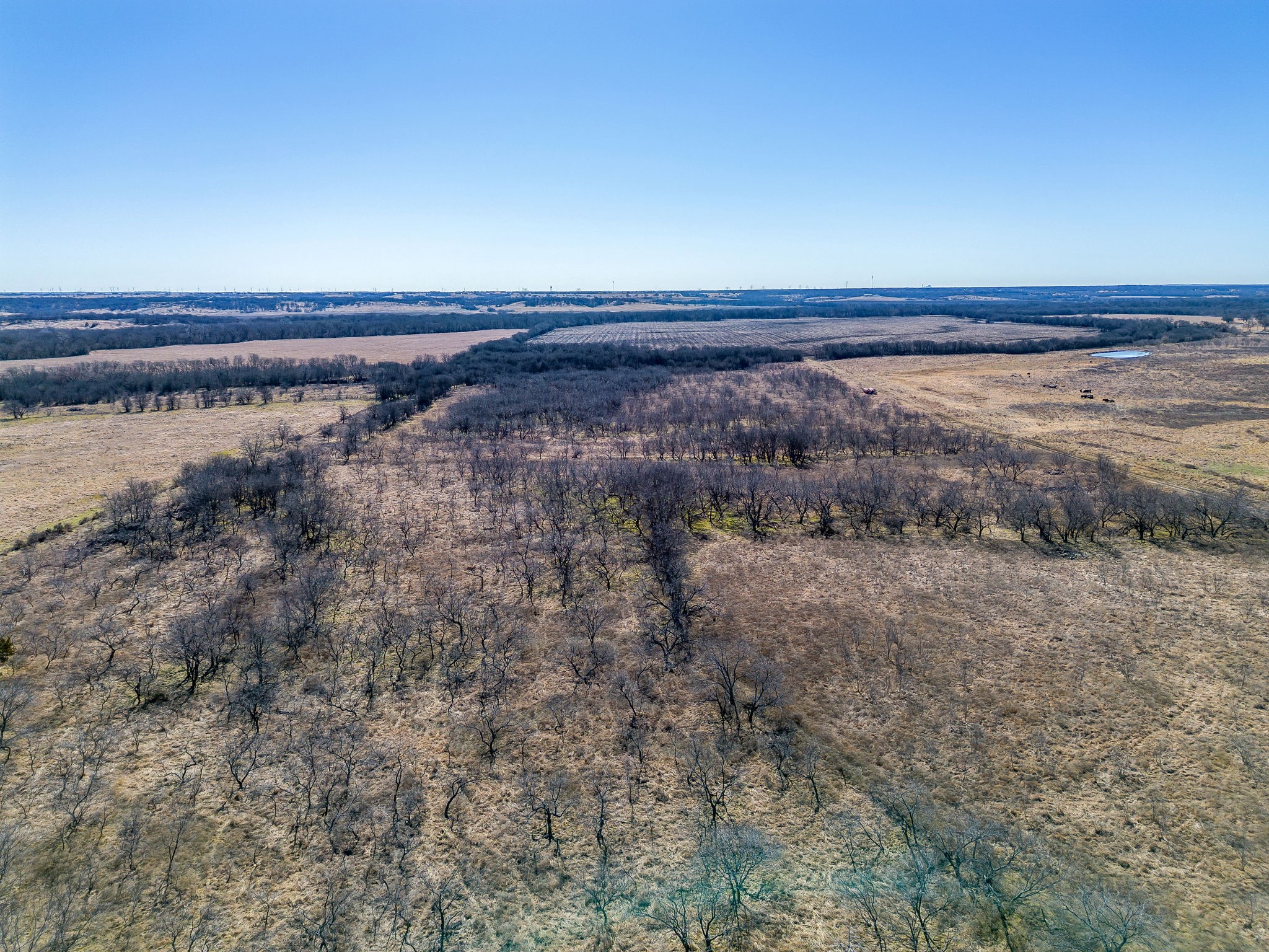 TBD Ivy Lane, Elm Mott, TX, 76640