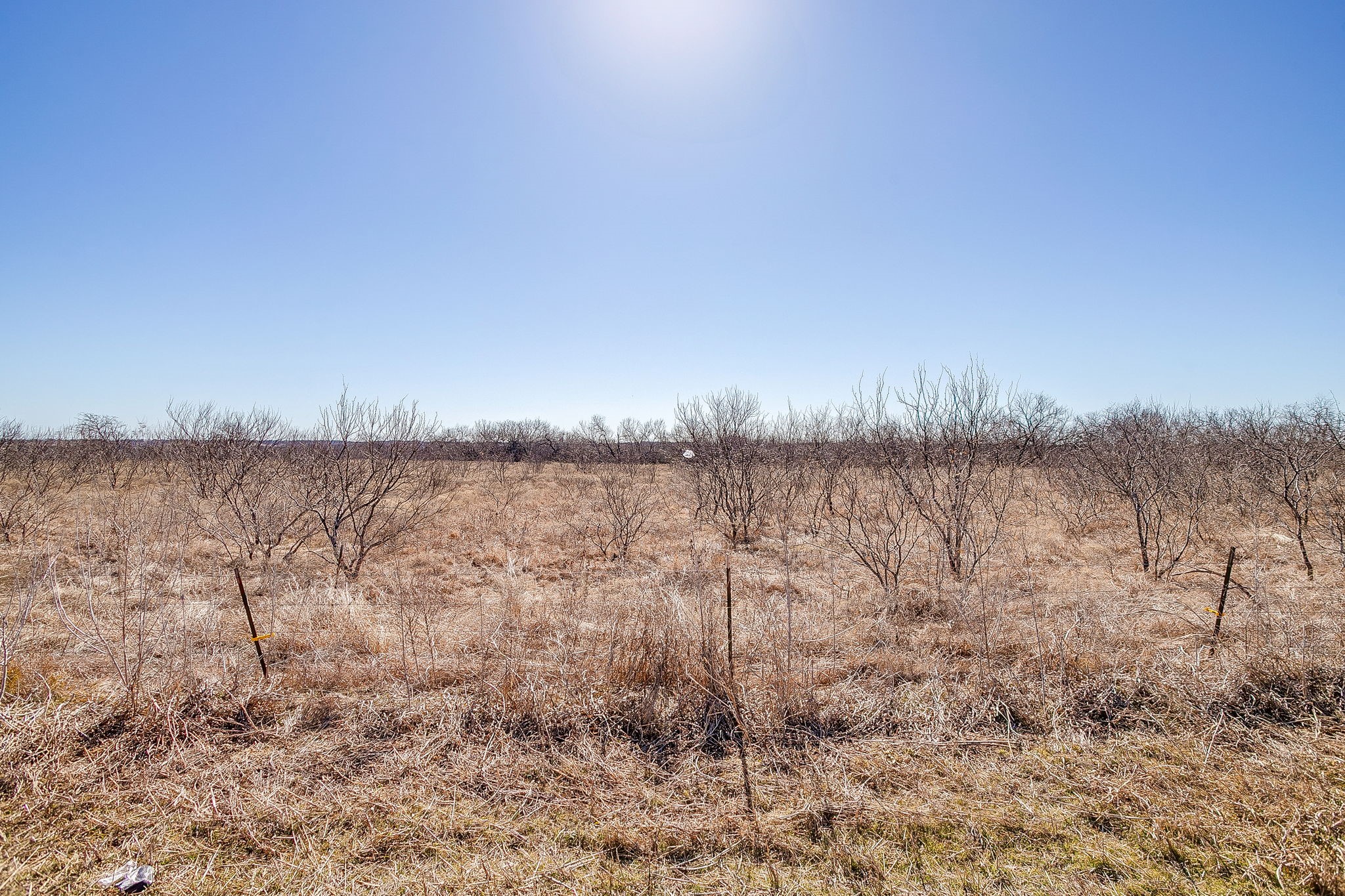 TBD Ivy Lane, Elm Mott, TX, 76640