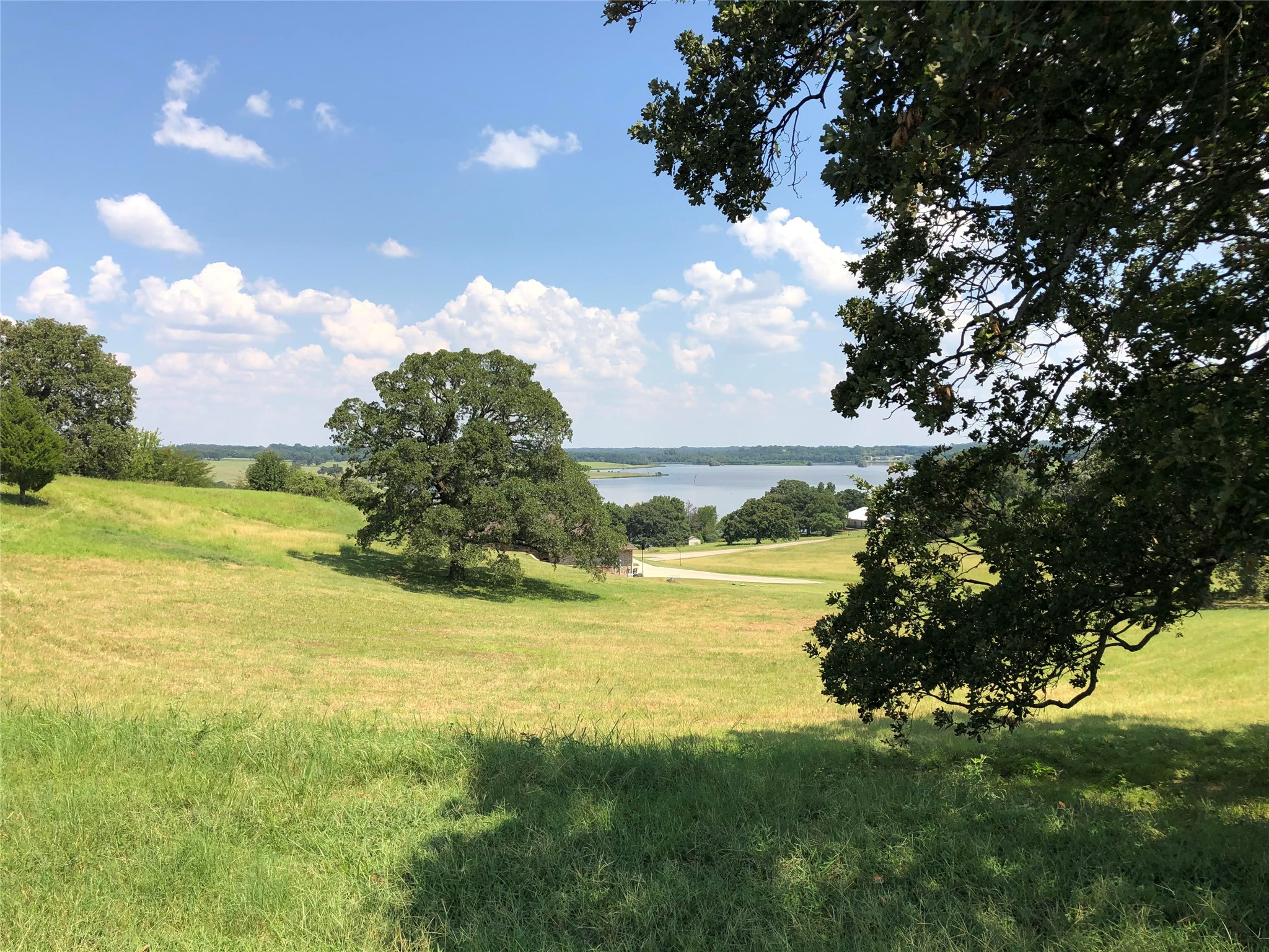 LOT 246 OVERLOOK Point, Athens, TX, 75752