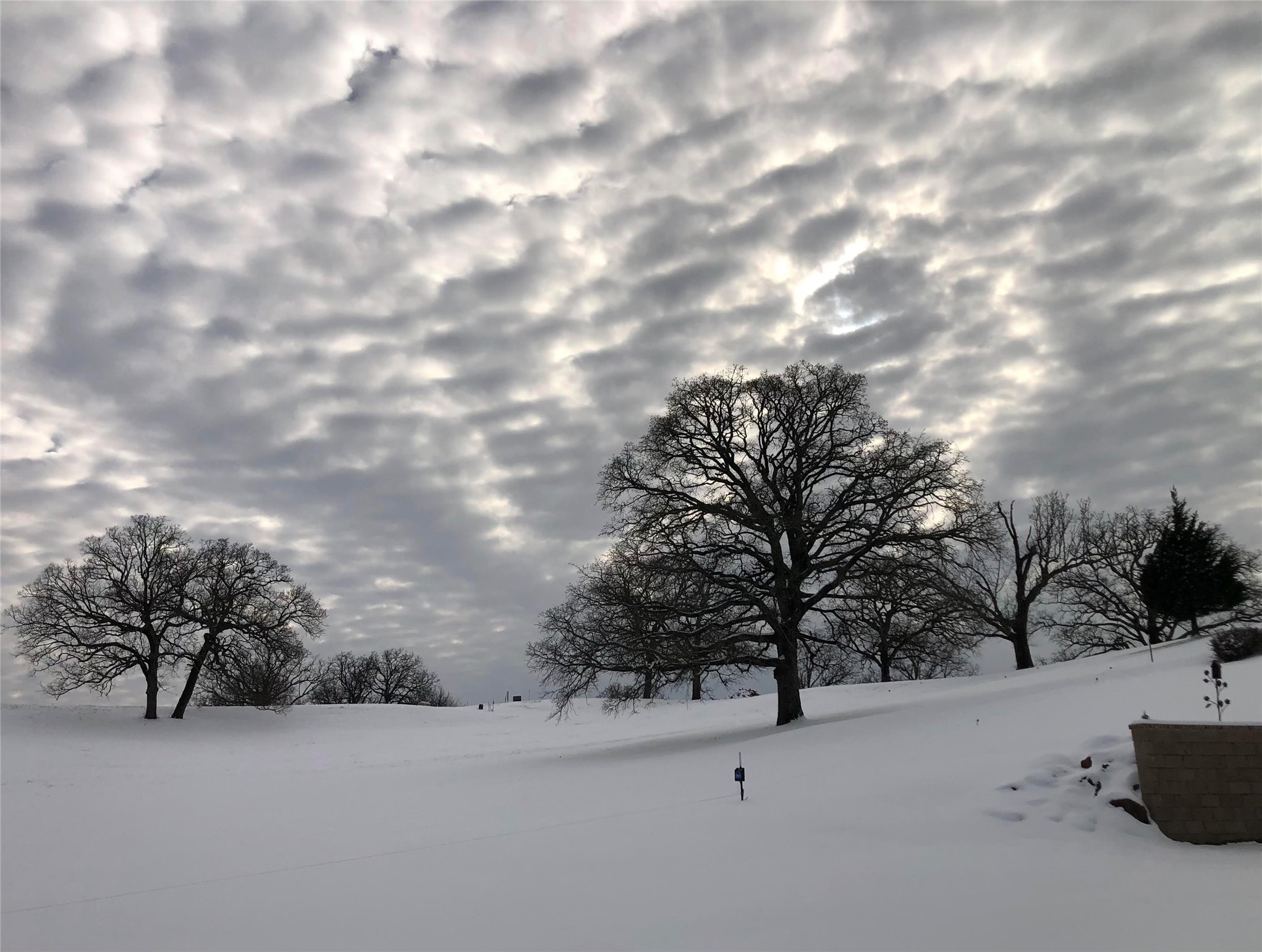LOT 246 OVERLOOK Point, Athens, TX, 75752