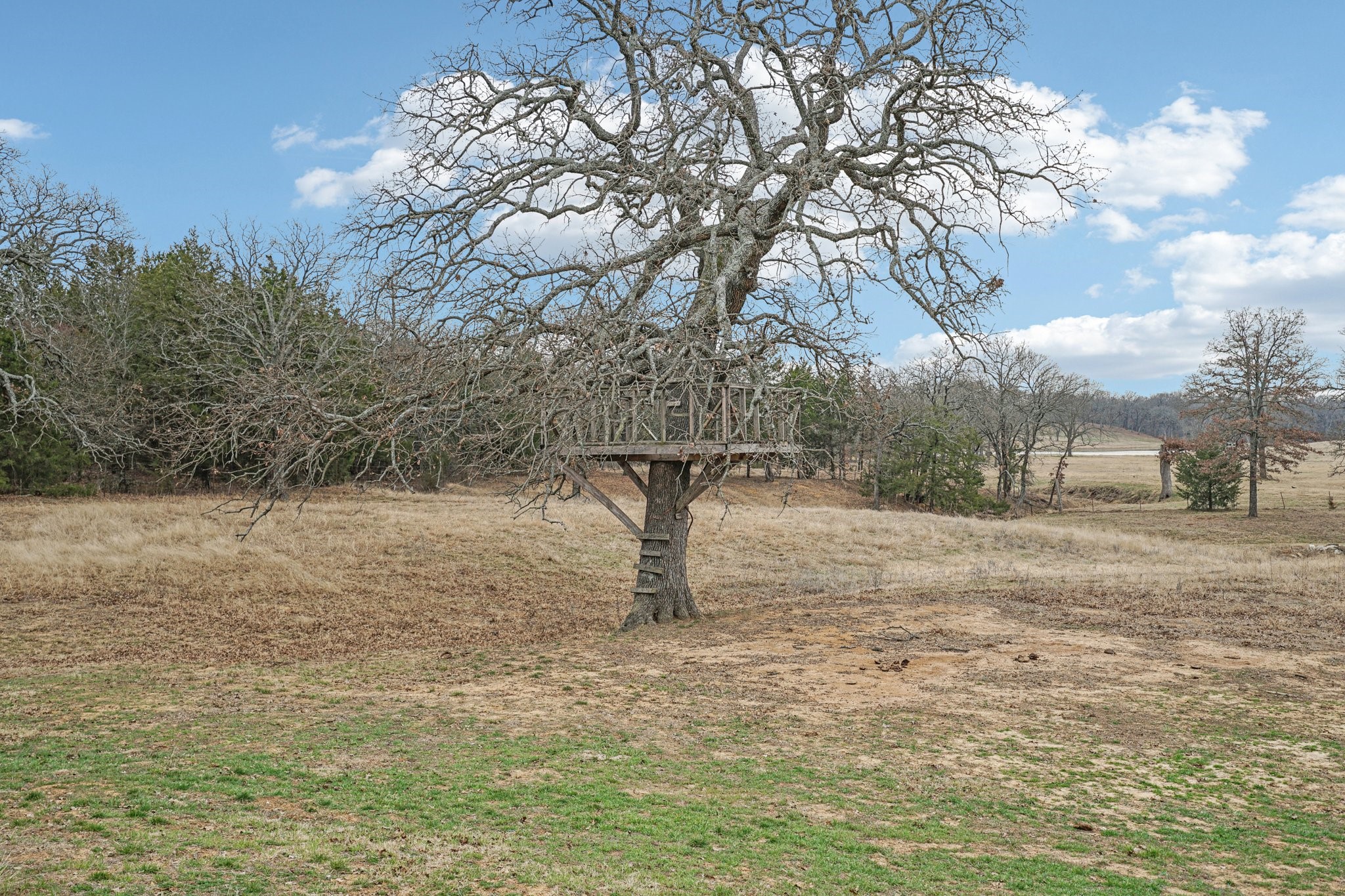 718 County Road 232, Collinsville, TX, 76233