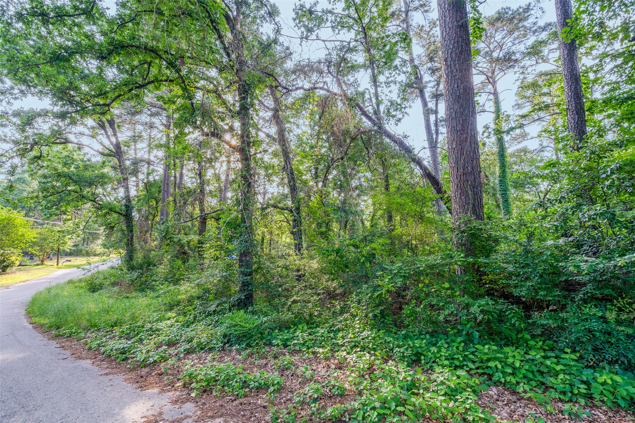 0 Forest Hill. Drive, Frankston, TX, 75763