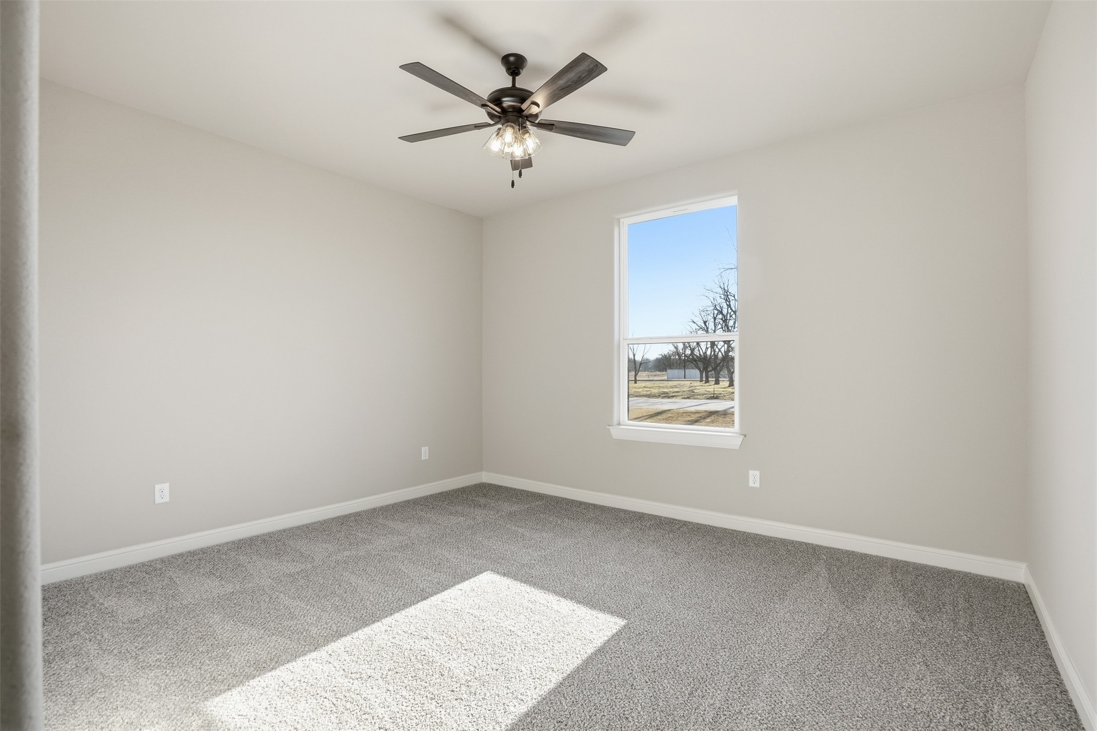 1101 Tremont Lane, Granbury, TX, 76049