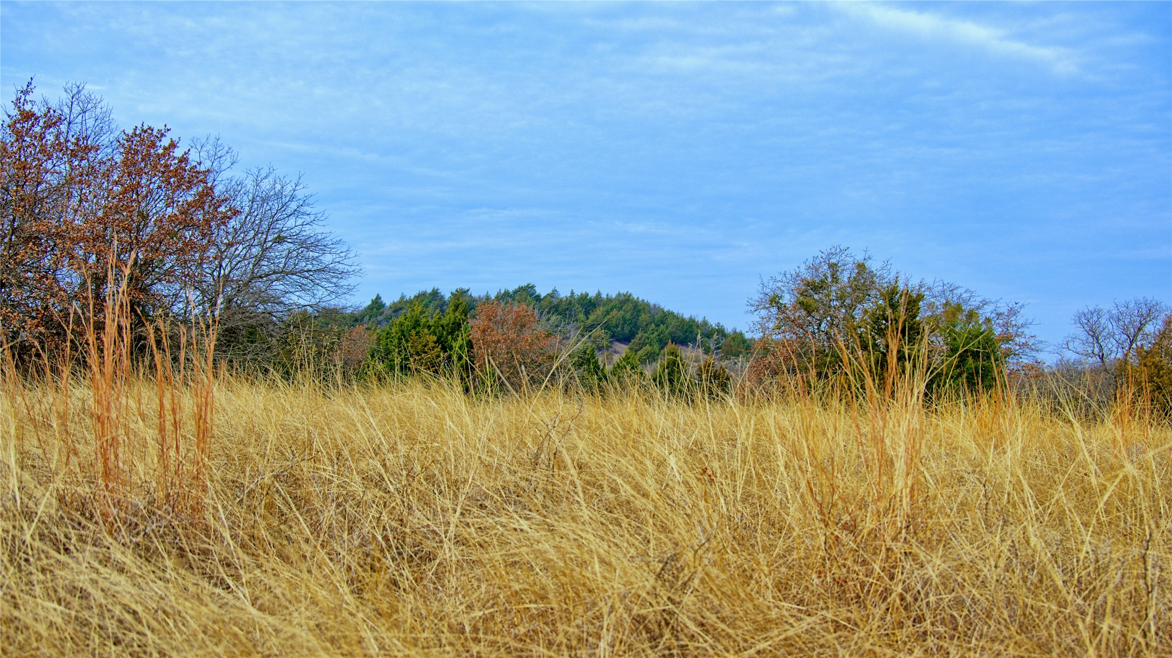 TBD FM 3206, St Jo, TX, 76265