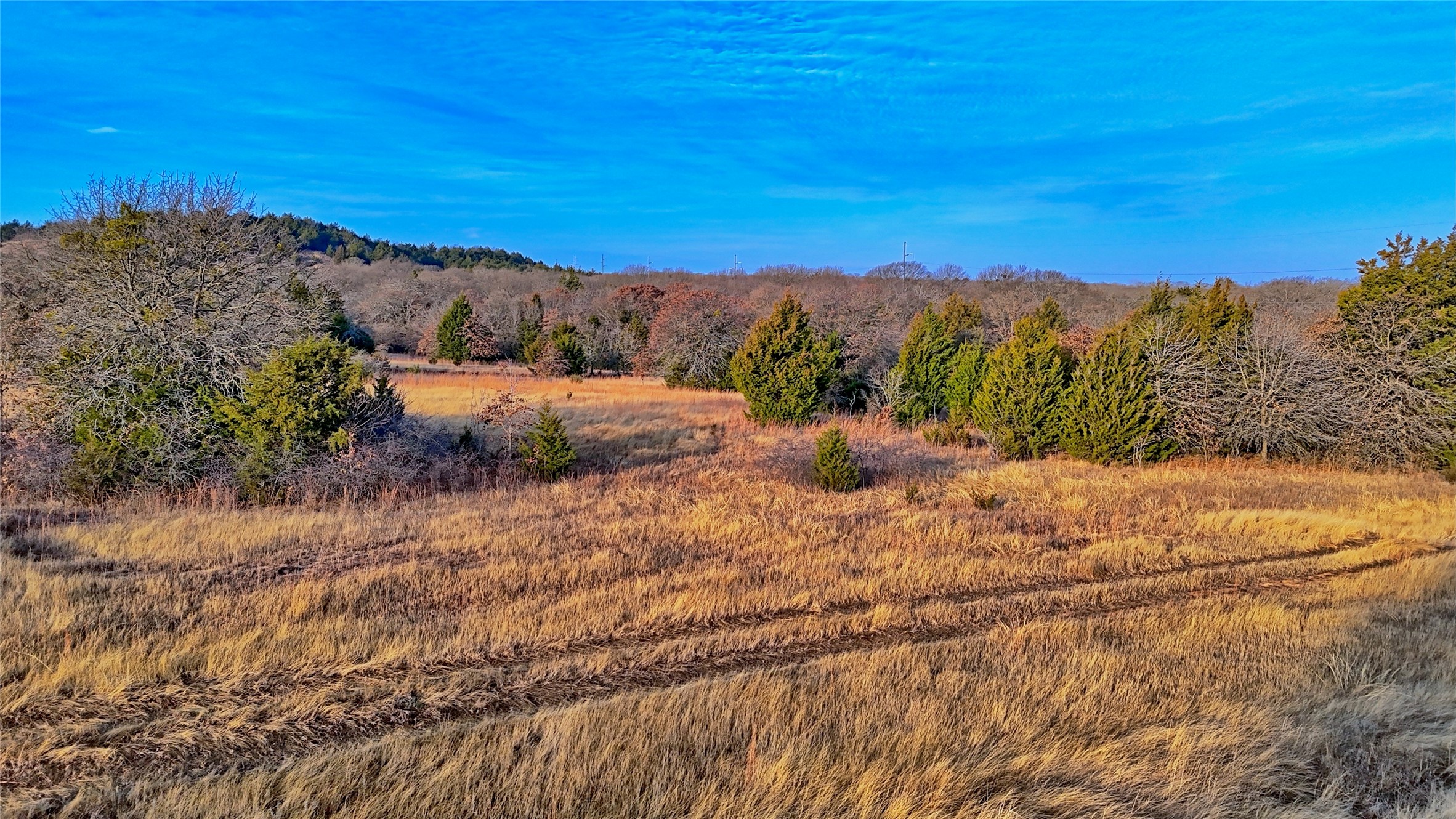 TBD FM 3206, St Jo, TX, 76265