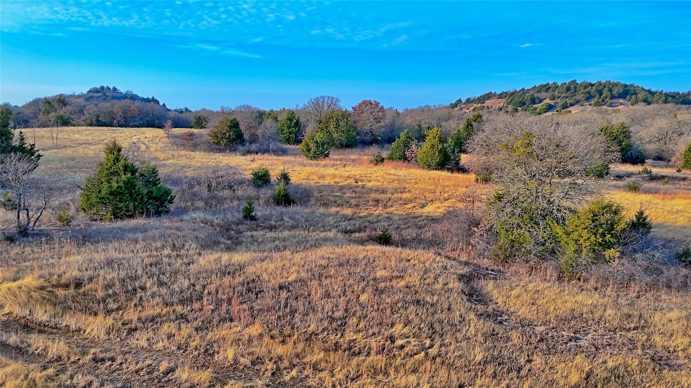 TBD FM 3206, St Jo, TX, 76265