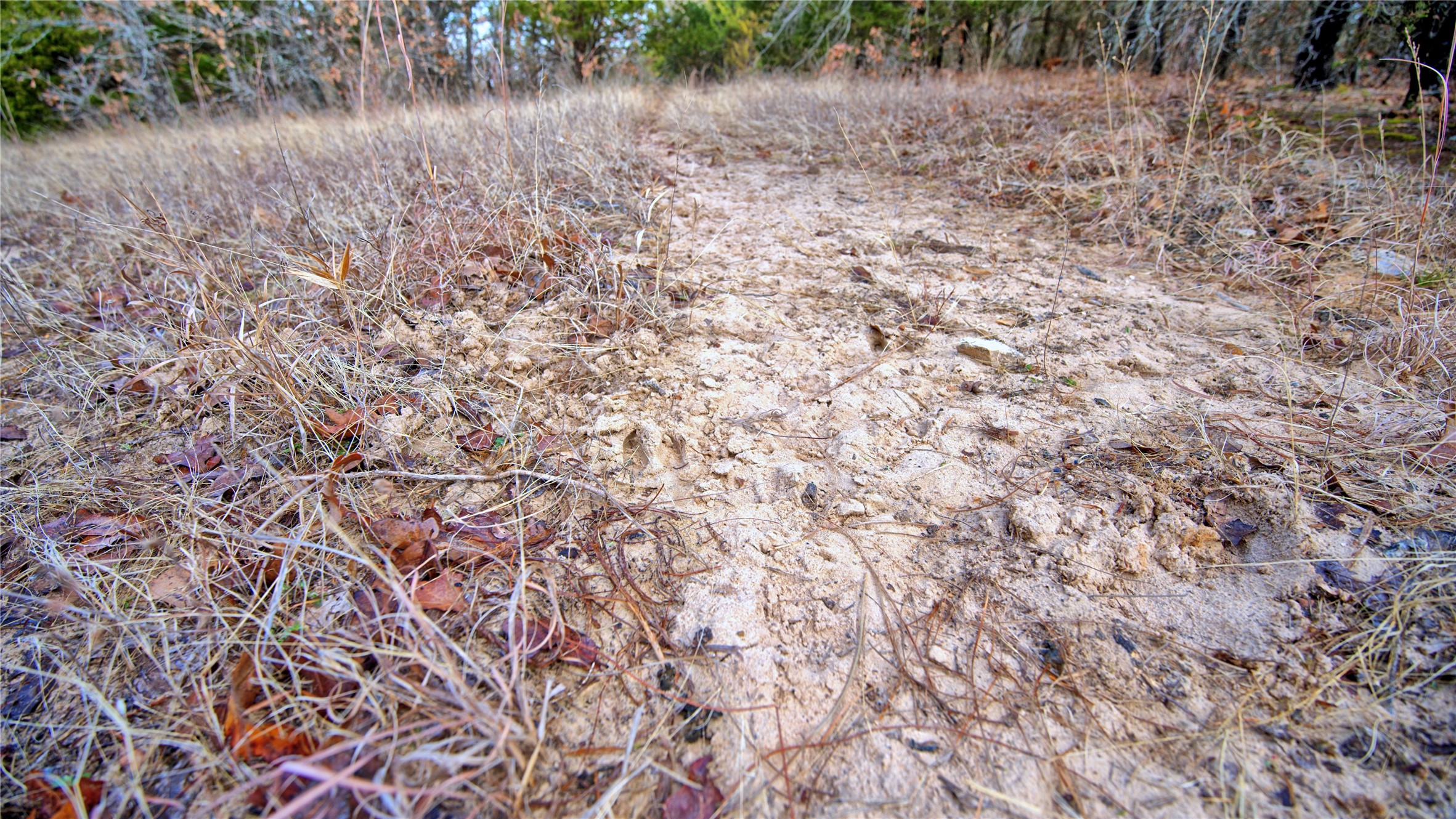 TBD FM 3206, St Jo, TX, 76265