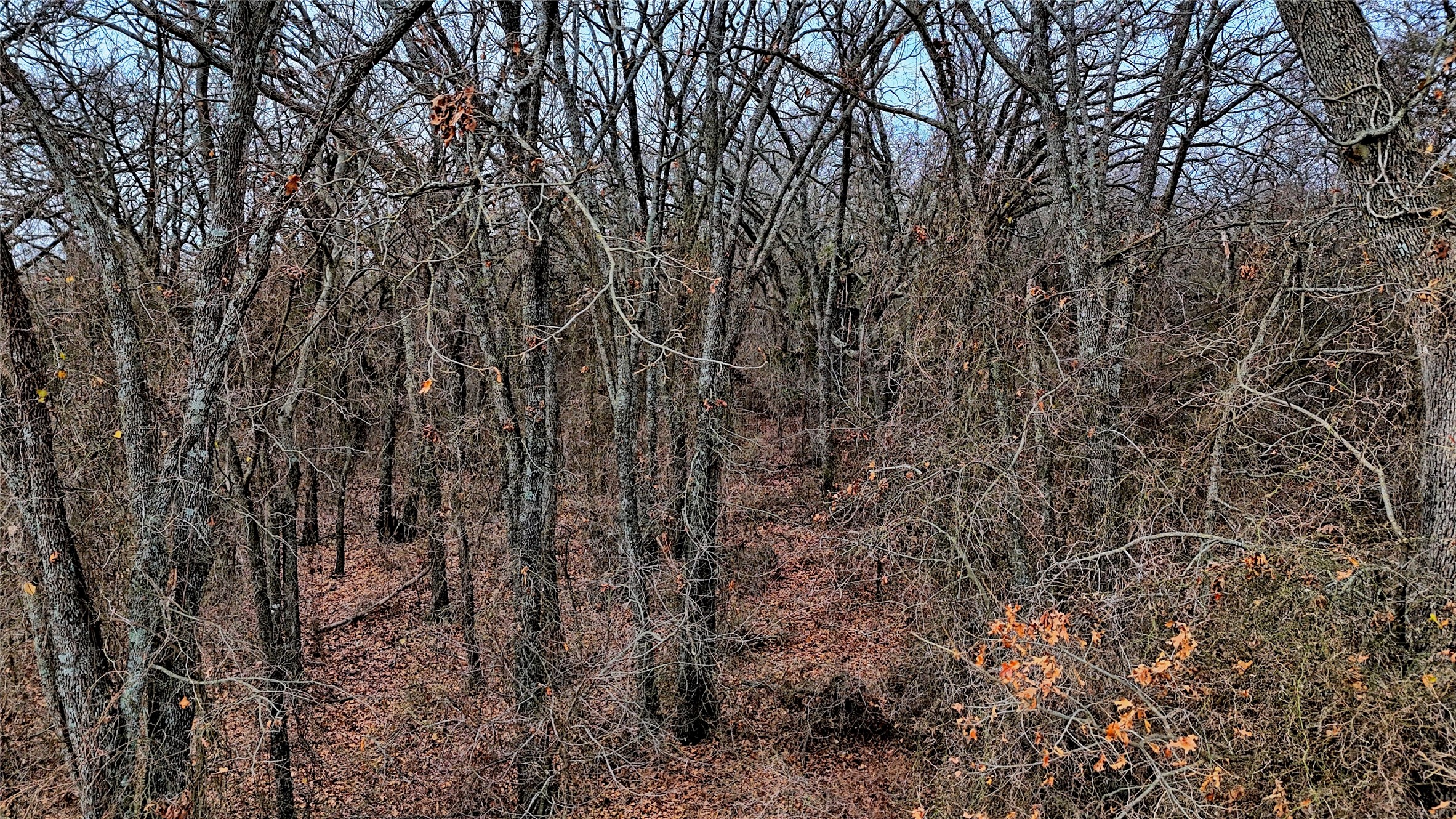 TBD FM 3206, St Jo, TX, 76265