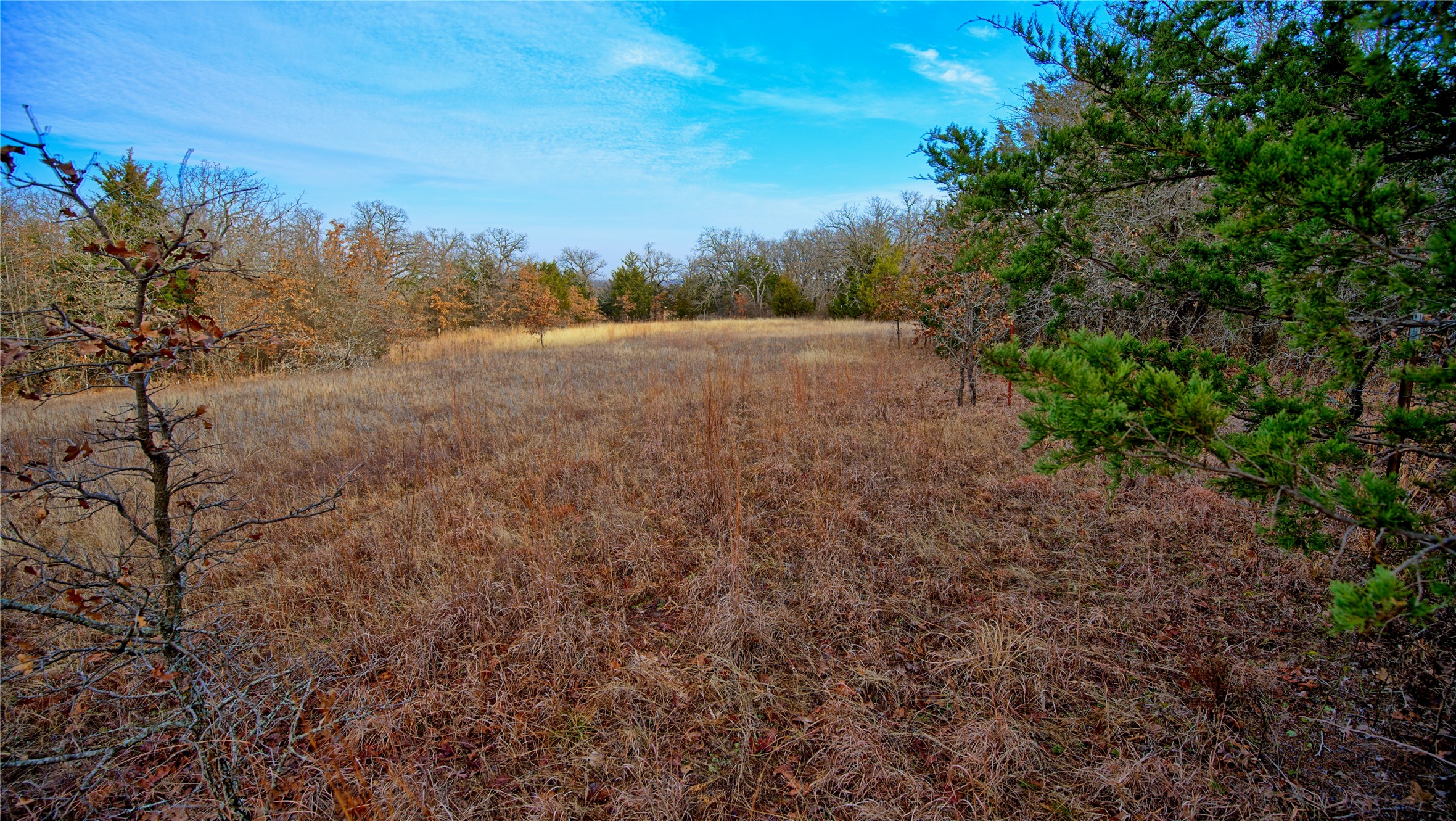 TBD FM 3206, St Jo, TX, 76265