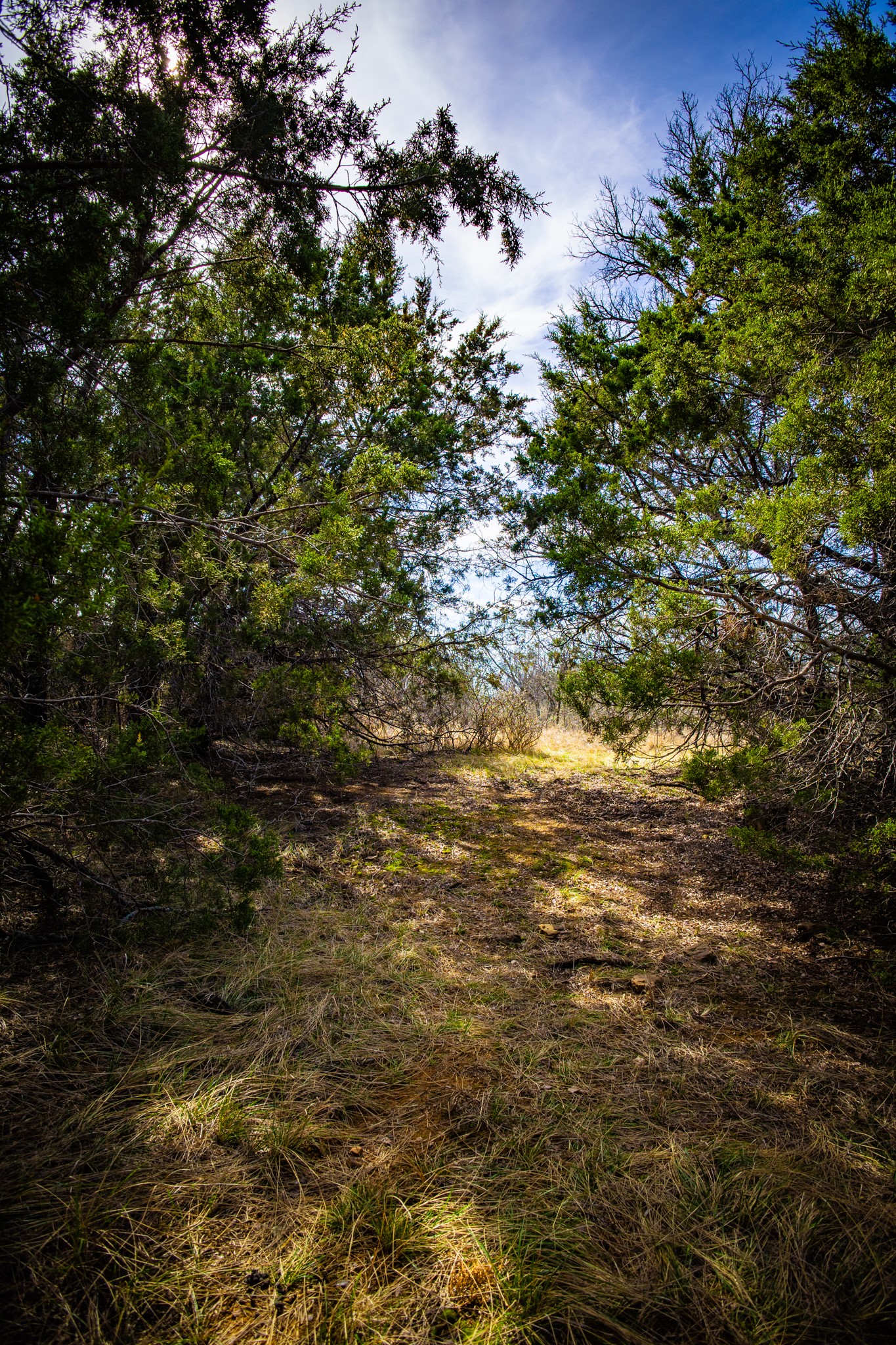 198 S Ranch Road, Graham, TX, 76450