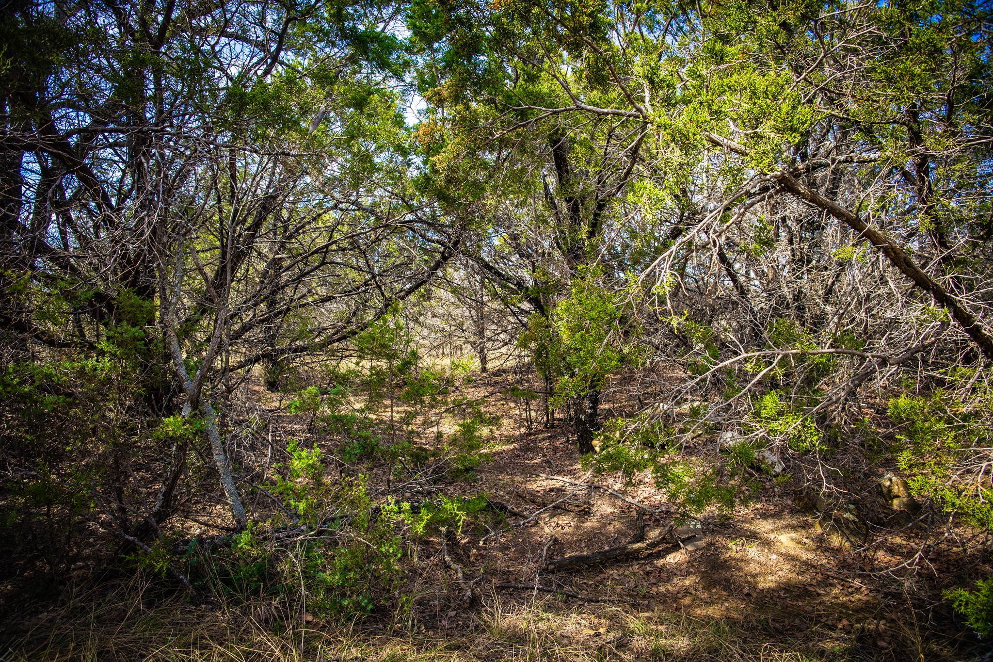 198 S Ranch Road, Graham, TX, 76450
