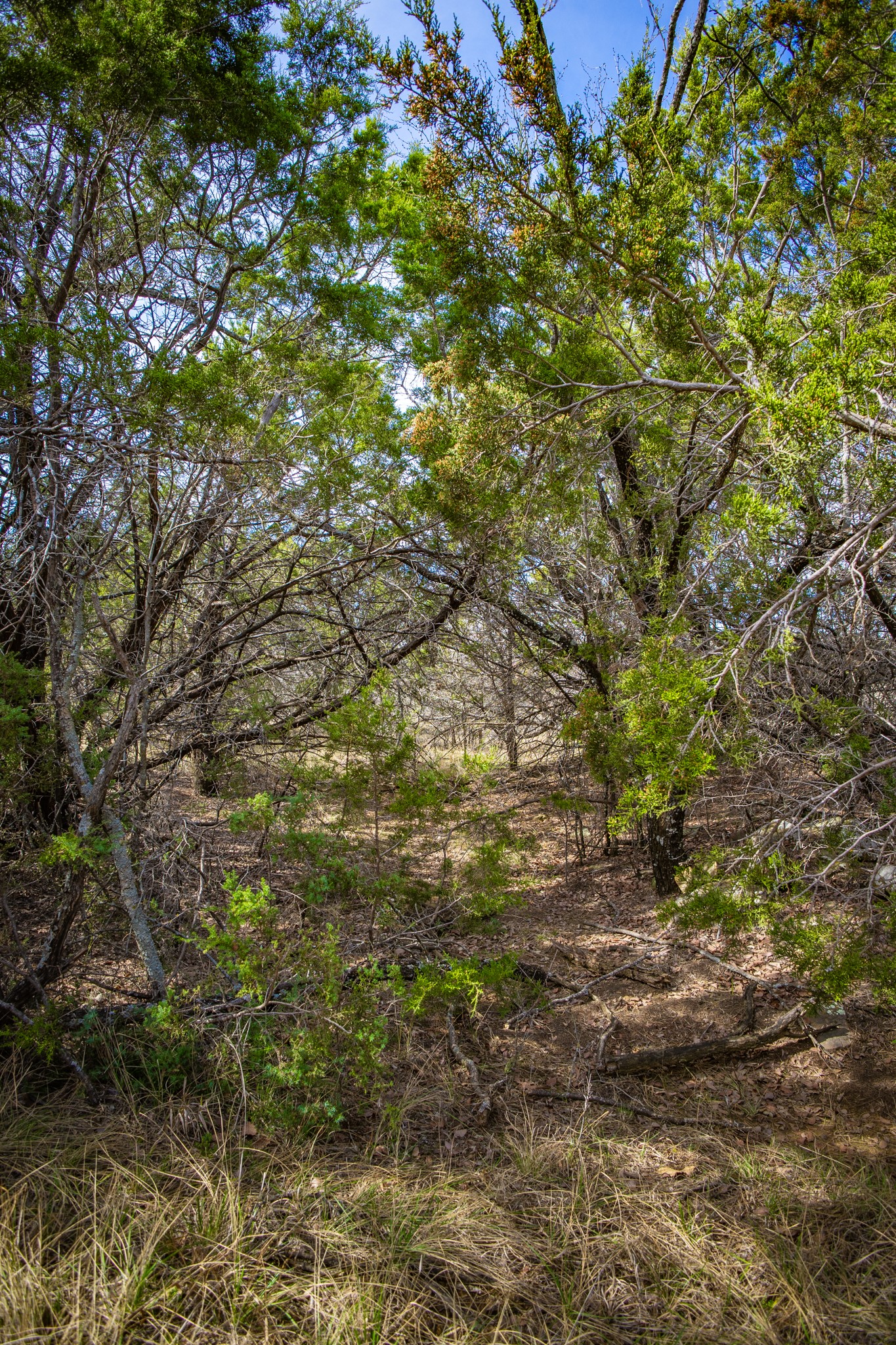 198 S Ranch Road, Graham, TX, 76450