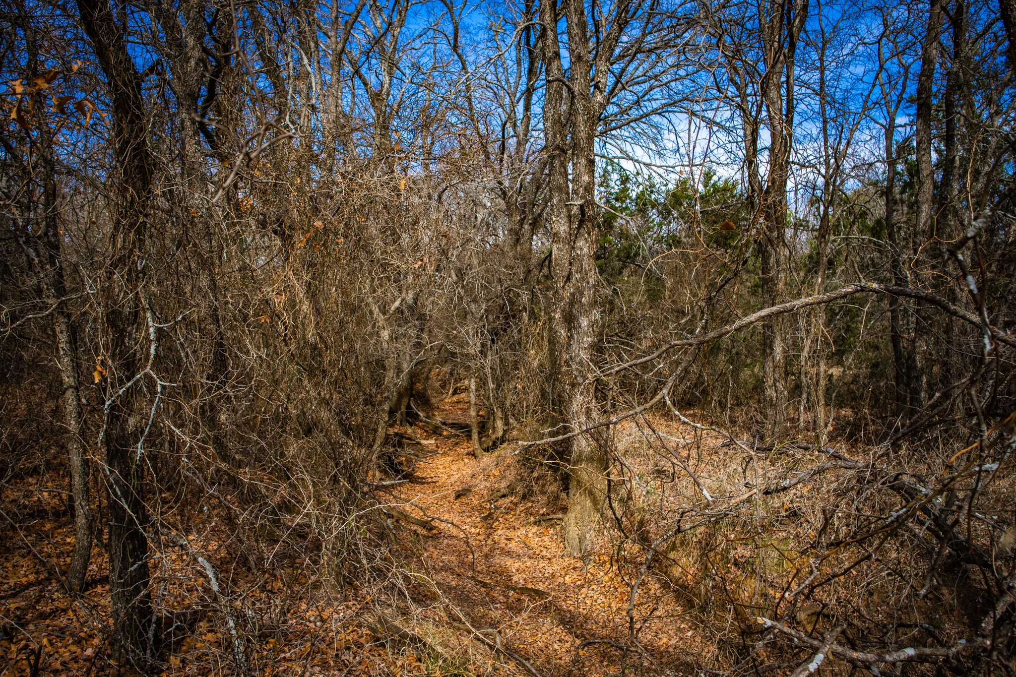 198 S Ranch Road, Graham, TX, 76450