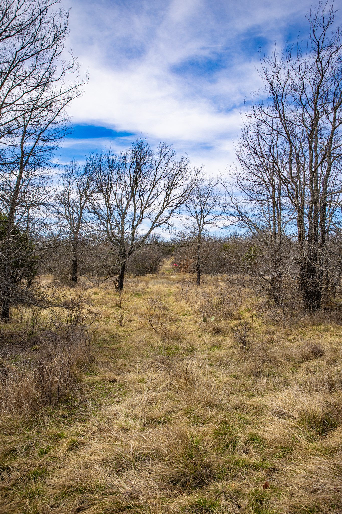 198 S Ranch Road, Graham, TX, 76450