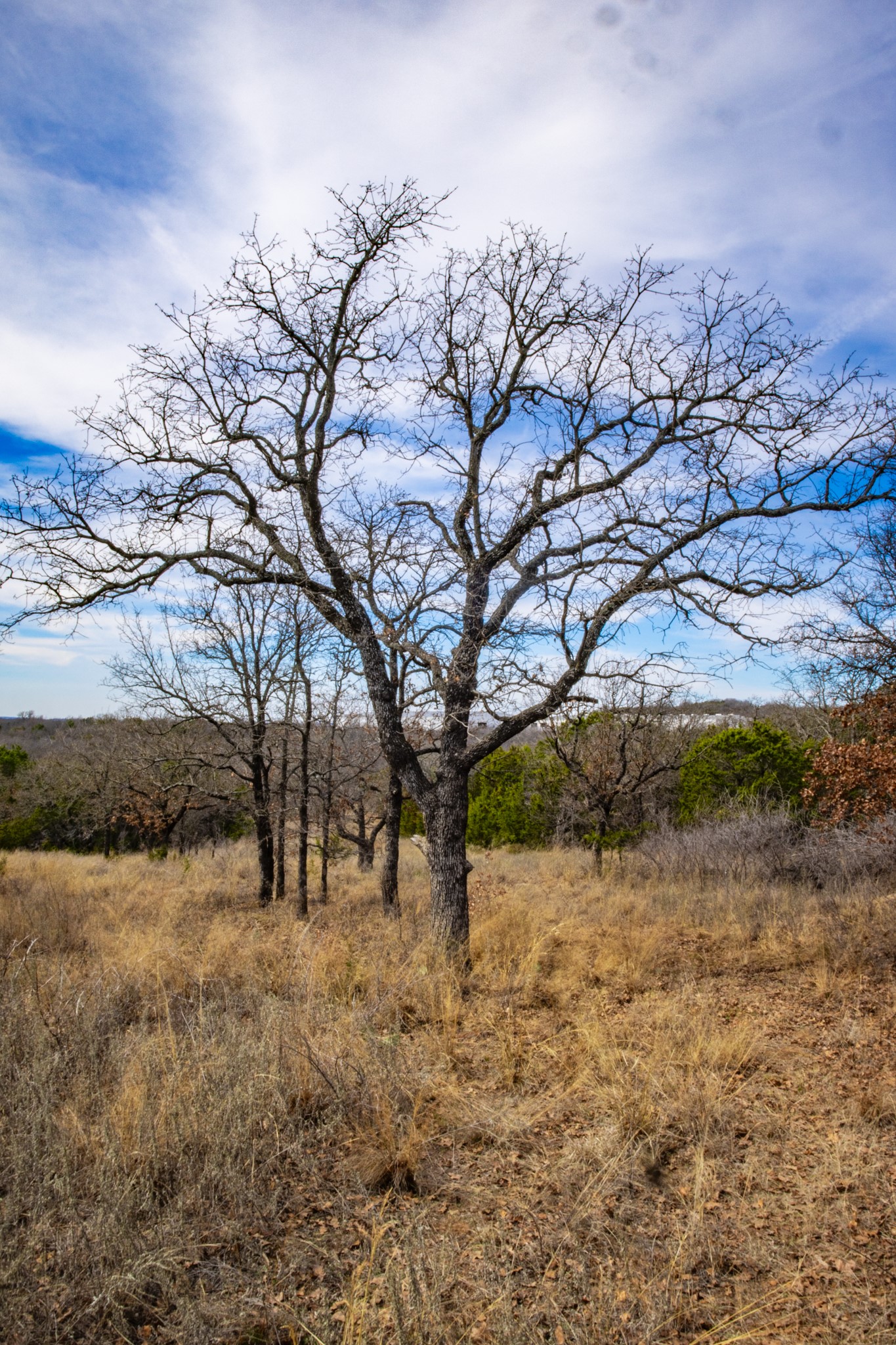 198 S Ranch Road, Graham, TX, 76450