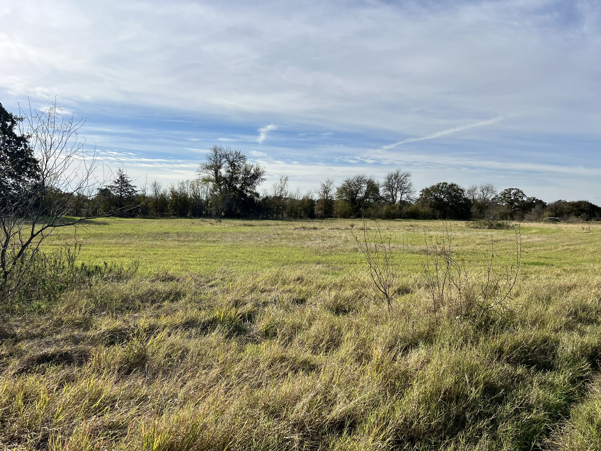 TBD Wesley Chapel Road, Gholson, TX, 76705