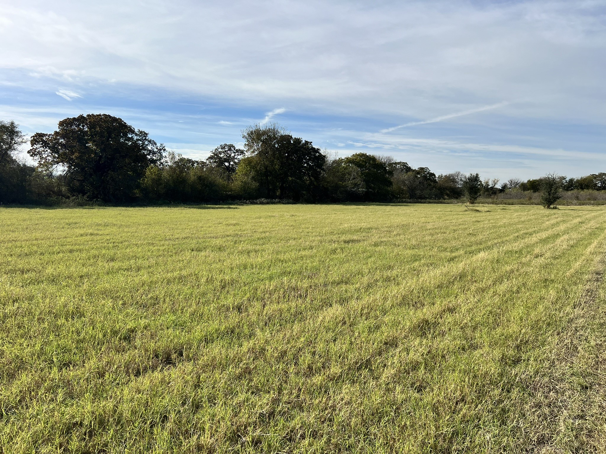 TBD Wesley Chapel Road, Gholson, TX, 76705