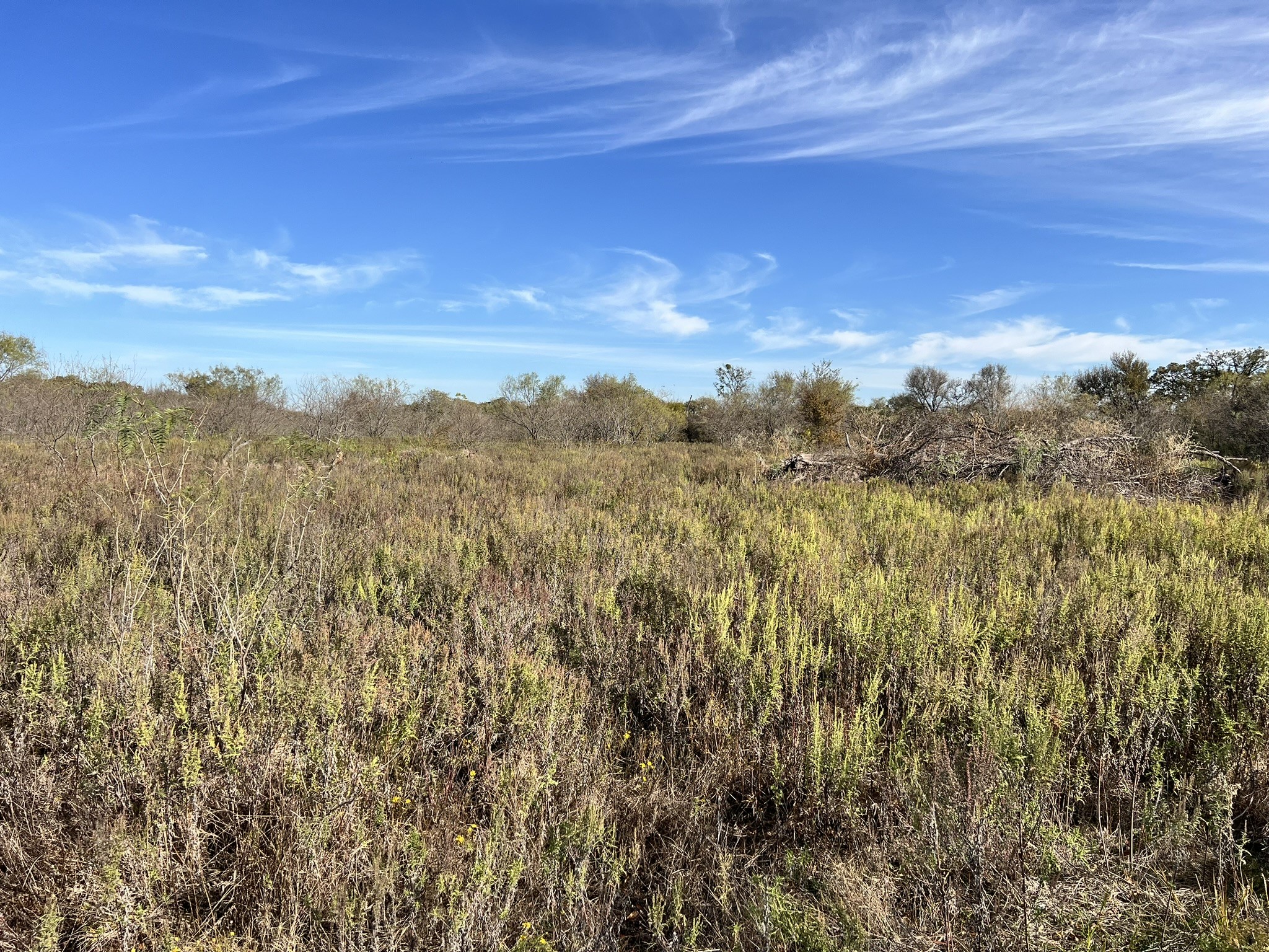 TBD Wesley Chapel Road, Gholson, TX, 76705