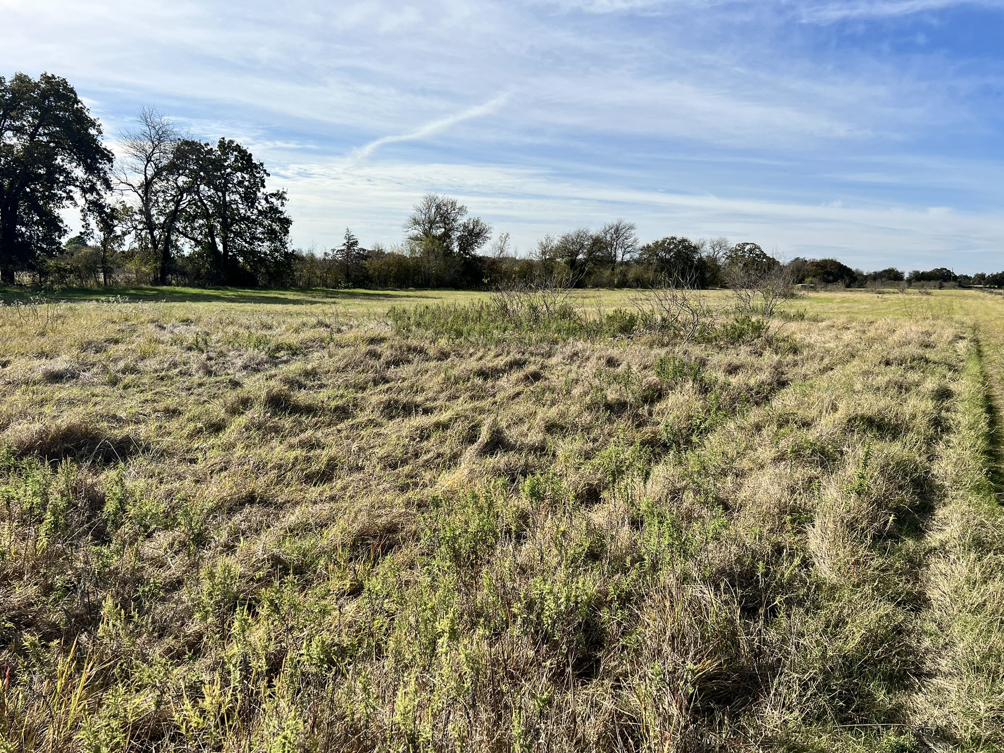 TBD Wesley Chapel Road, Gholson, TX, 76705