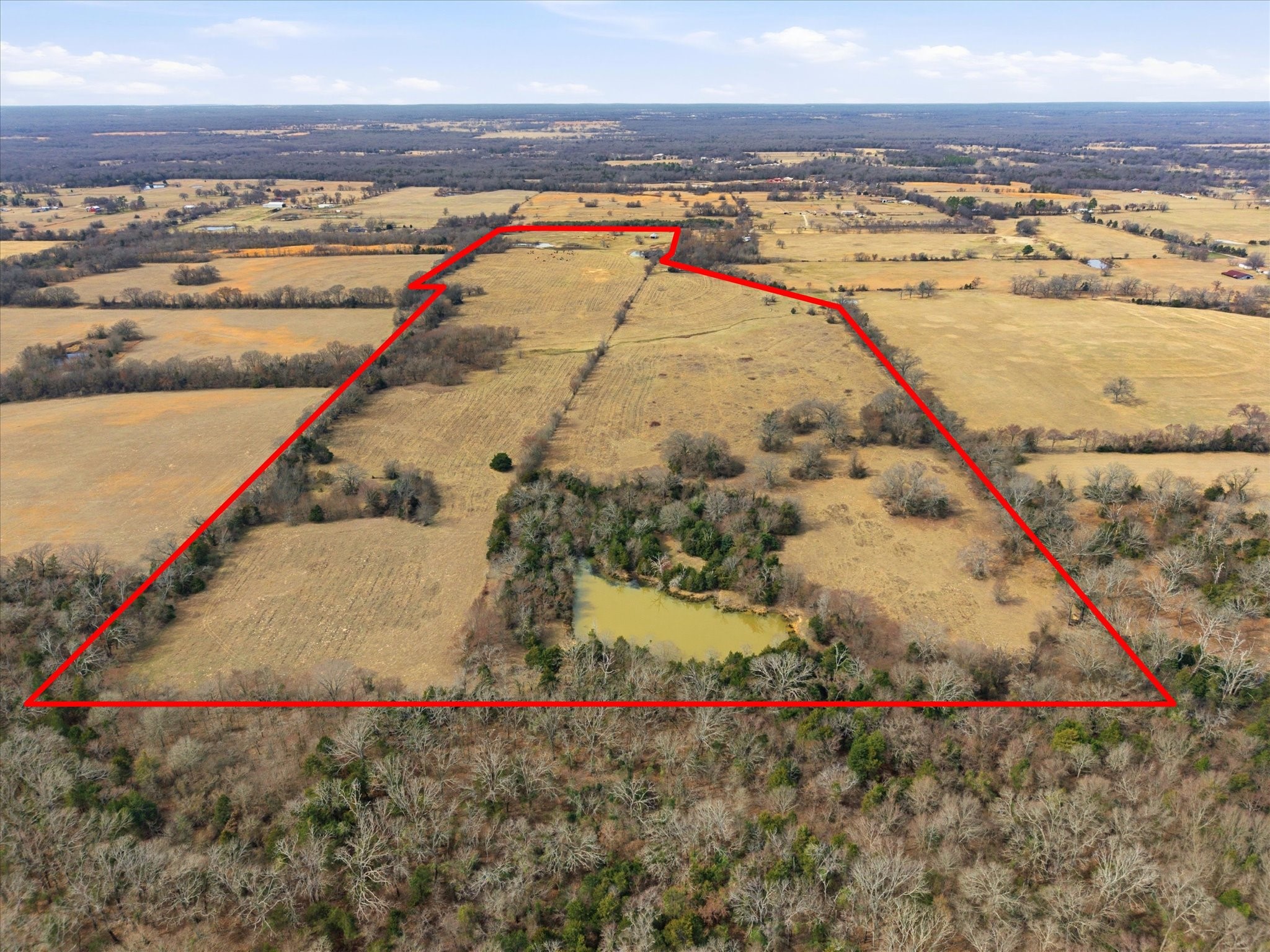 Property photo 03 of 560 Rs County Road 3417, Emory, TX 75440 | MLS #21182559
