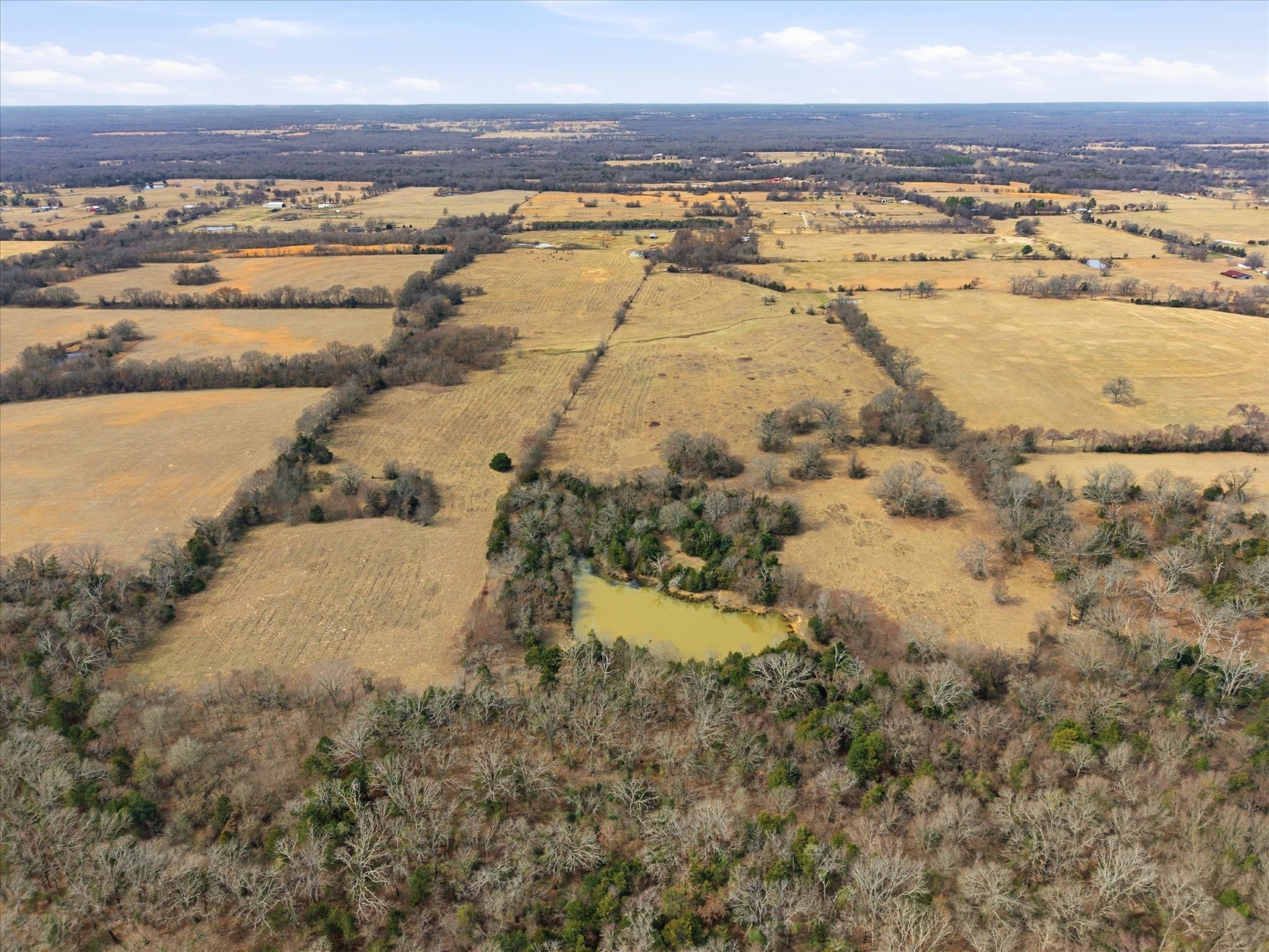 Property photo 04 of 560 Rs County Road 3417, Emory, TX 75440 | MLS #21182559
